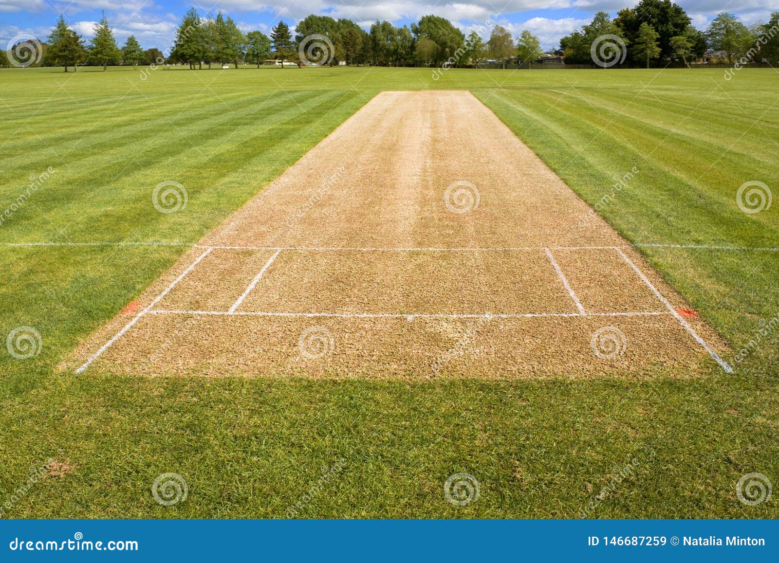 cricket pitch sport grass field empty background