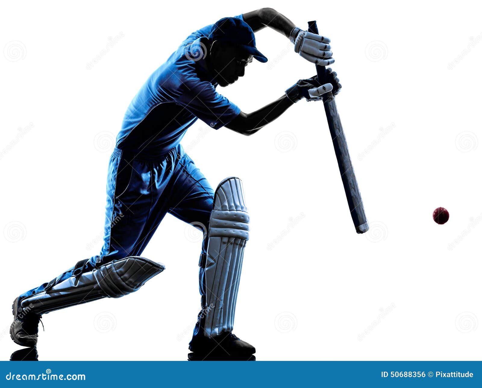 Cricket Player Batsman Silhouette Stock Photo Image of white, shadow 50688356