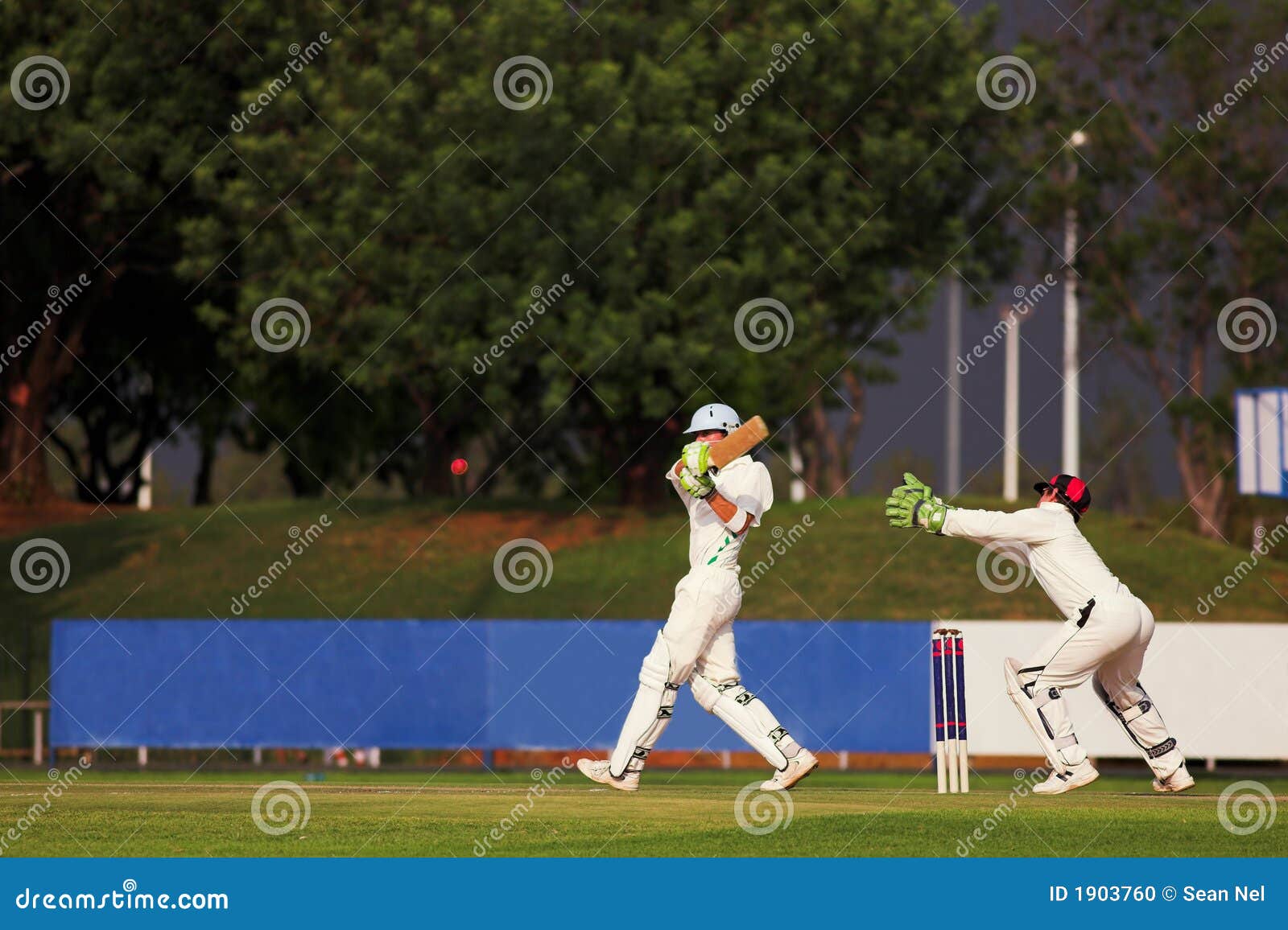 Cricket Player Hitting Ball Stock Photo Image of field, cricket 1903760