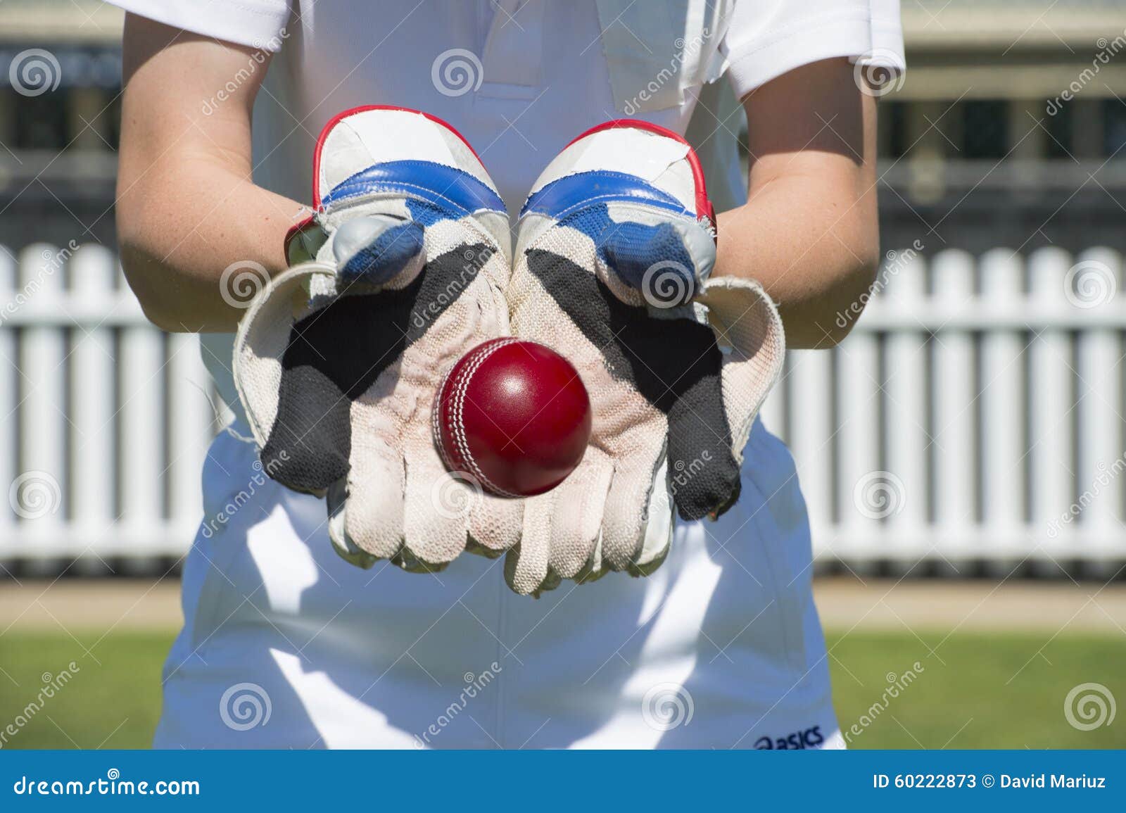 Cricket wicket keeper stock image. Image of stumps, sports 60222873