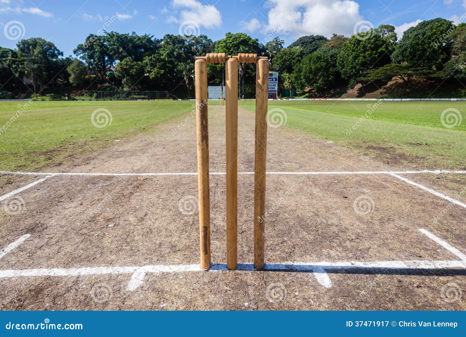 Cricket Wickets Playing Pitch Grounds Editorial Photography Image