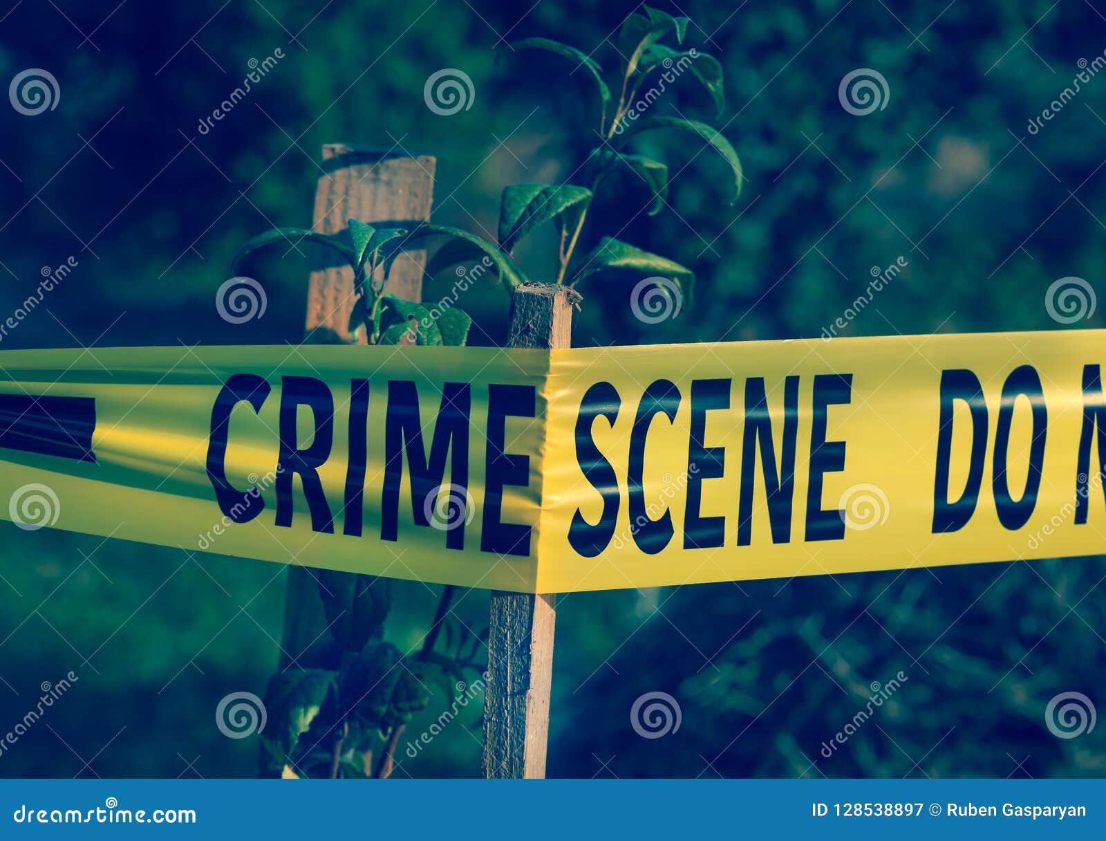 Closeup Of Police Lights On Dark Street Royalty Free Stock Photo closeup-of-police-lights-on-dark-street-royalty-free-stock-photo