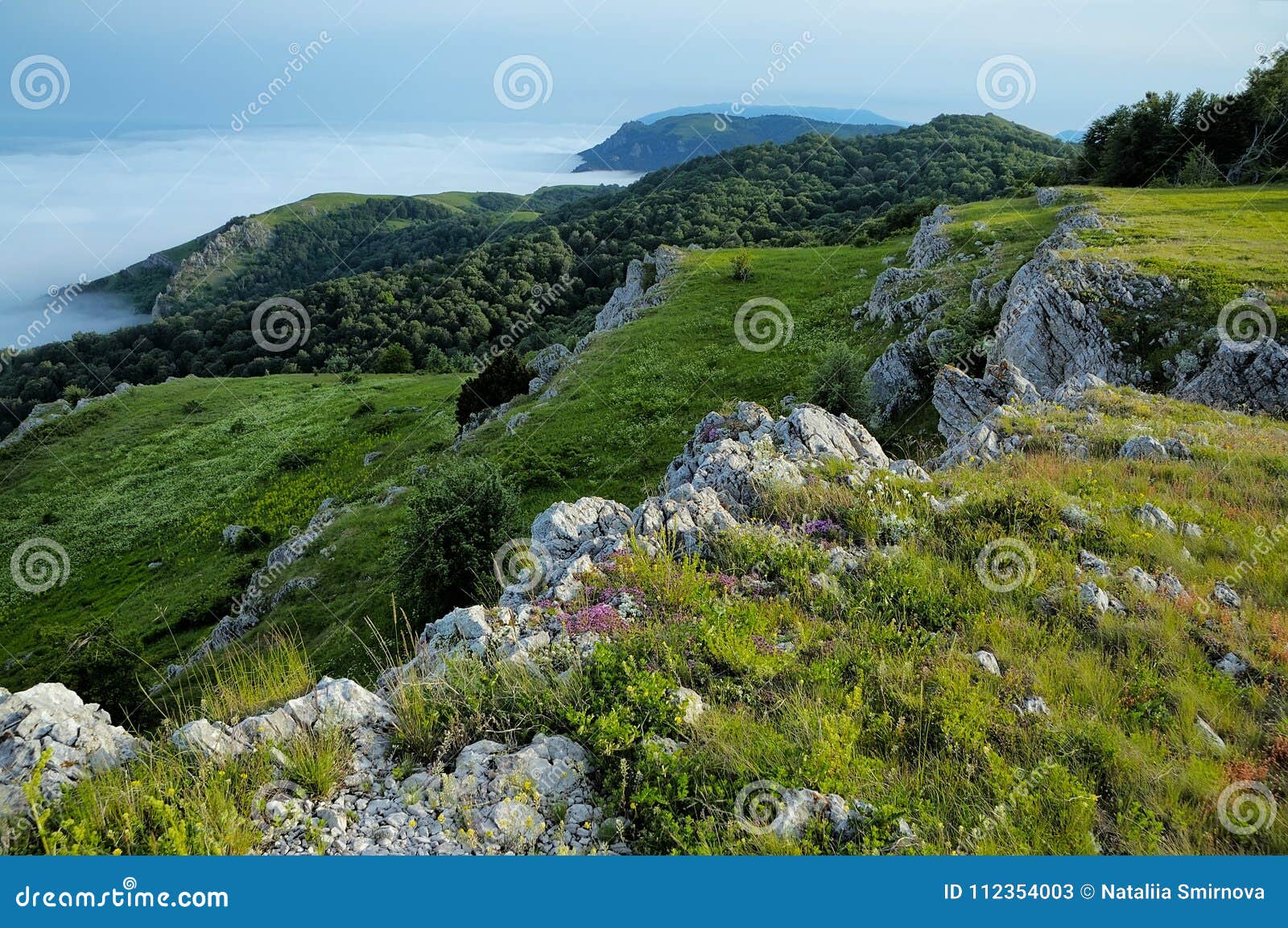 the crimean deeplis-haya mountain in summer