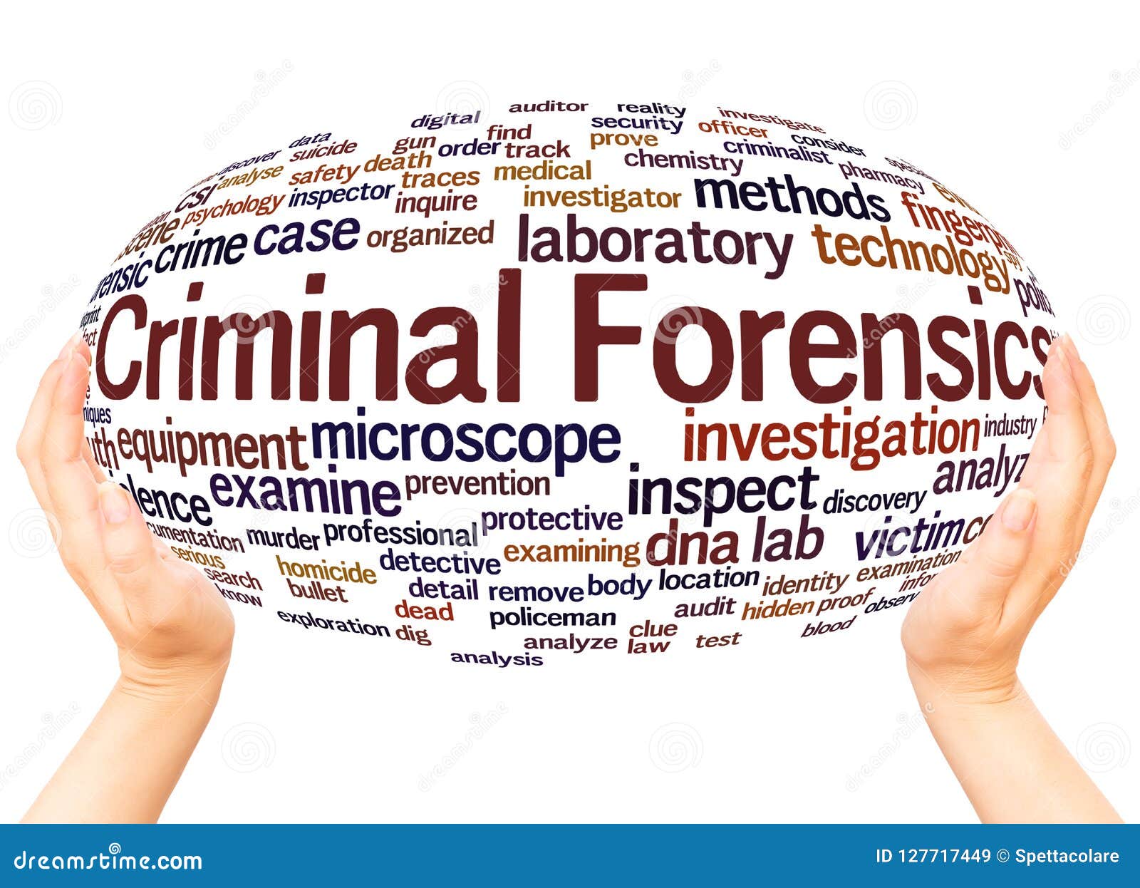 criminal forensics word cloud hand sphere concept