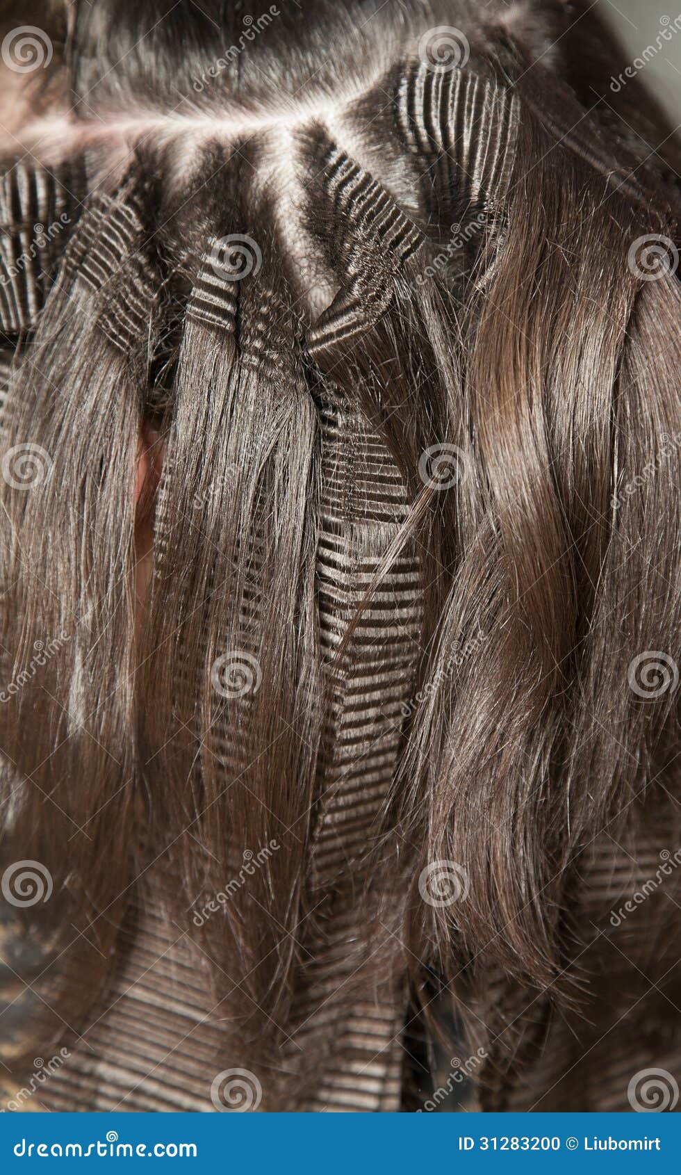 Crimp hair stock photo. Image of curve, lock, textured 31283200
