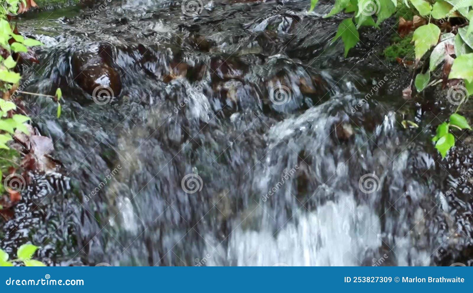 Flowing Water Going Down a Waterfall. Stock Video Video of natural