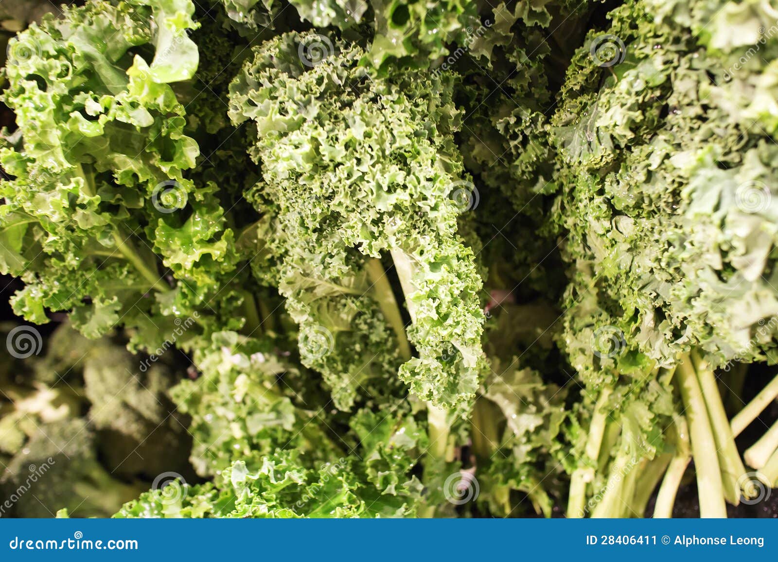 Crisp Fresh Kale at the Market Stock Image Image of greens, fresh