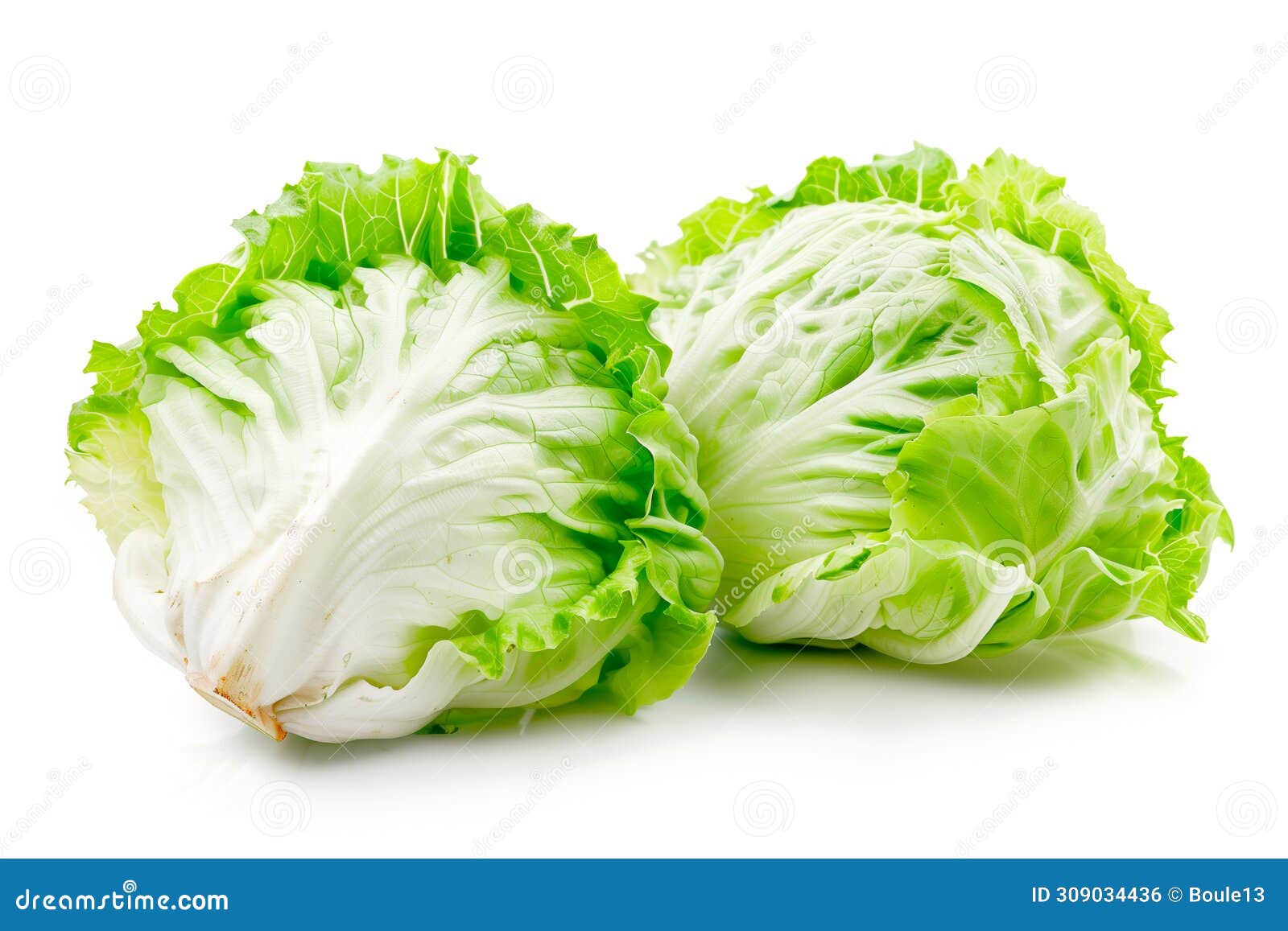 crisphead, or iceberg lettuce  on white background. fresh green salad leaves from garden