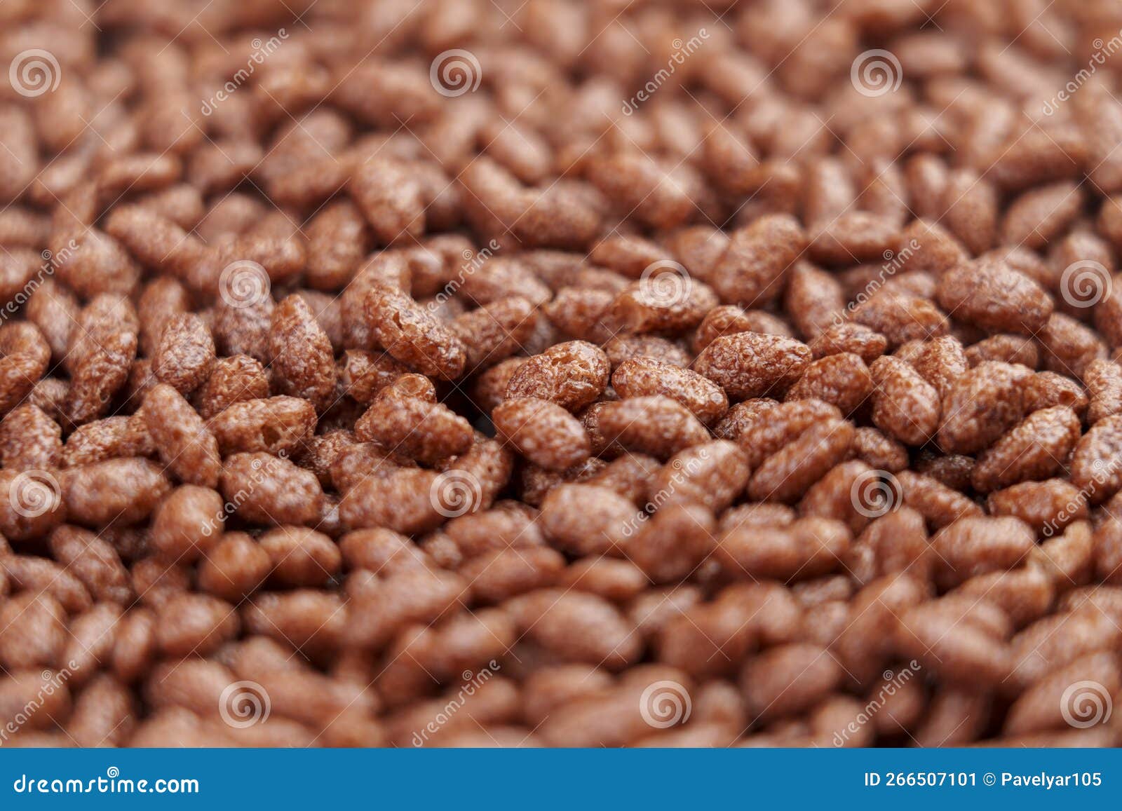 Crispy Chocolate Rice Cereal Breakfast Stock Image Image of sweet