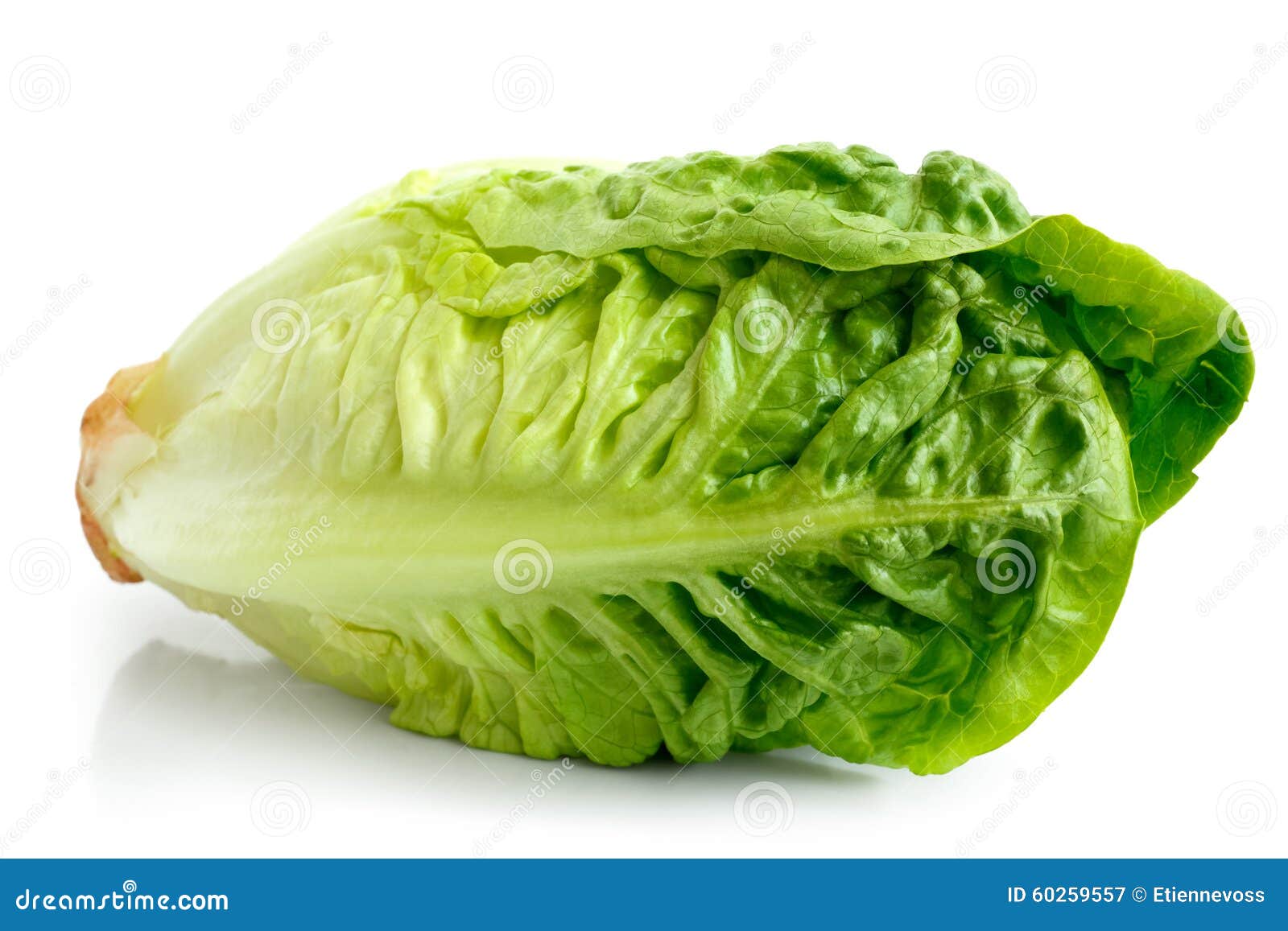 Crispy gem lettuce. stock image. Image of closeup, perspective 60259557
