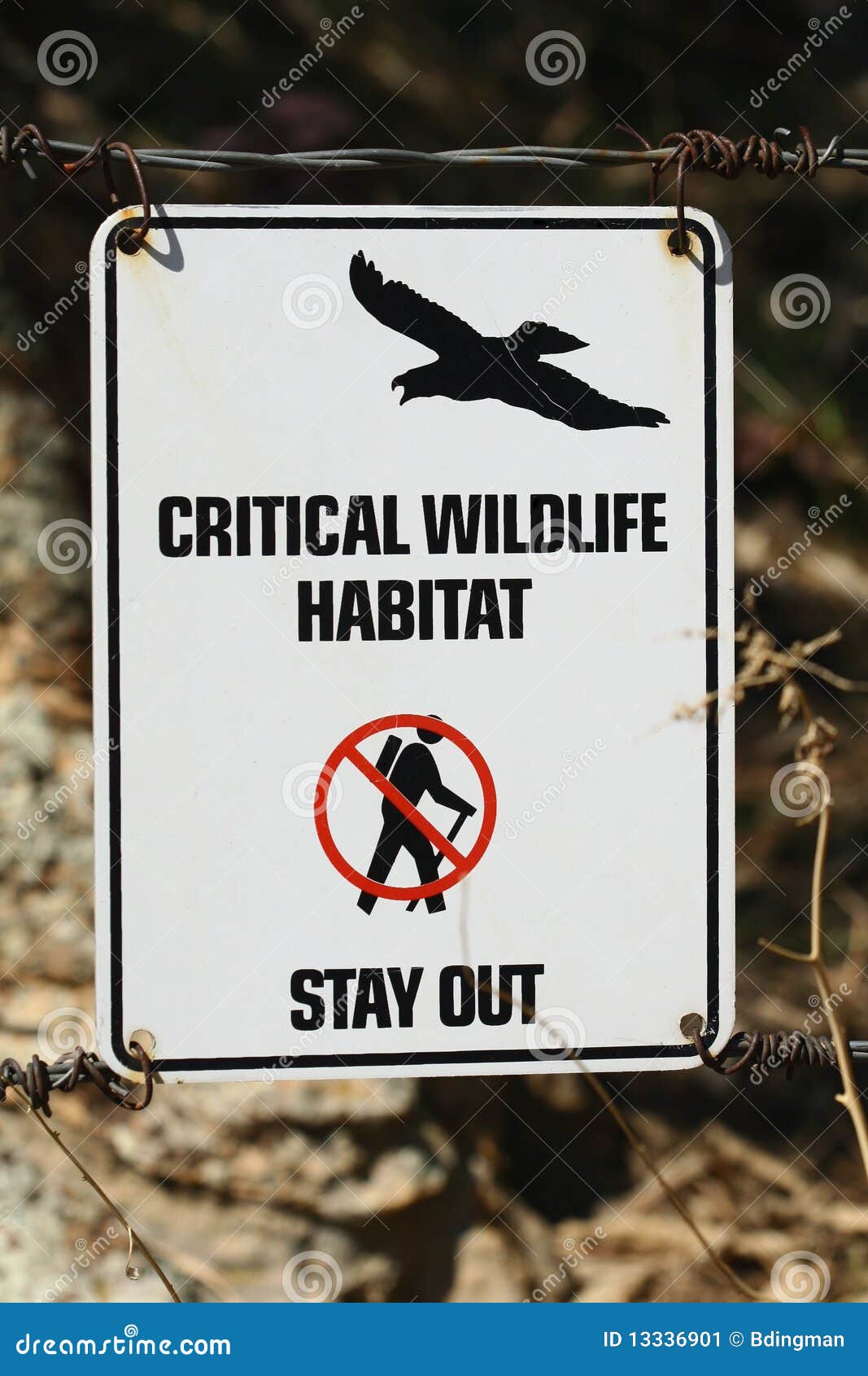 critical wildlife habitat - stay out