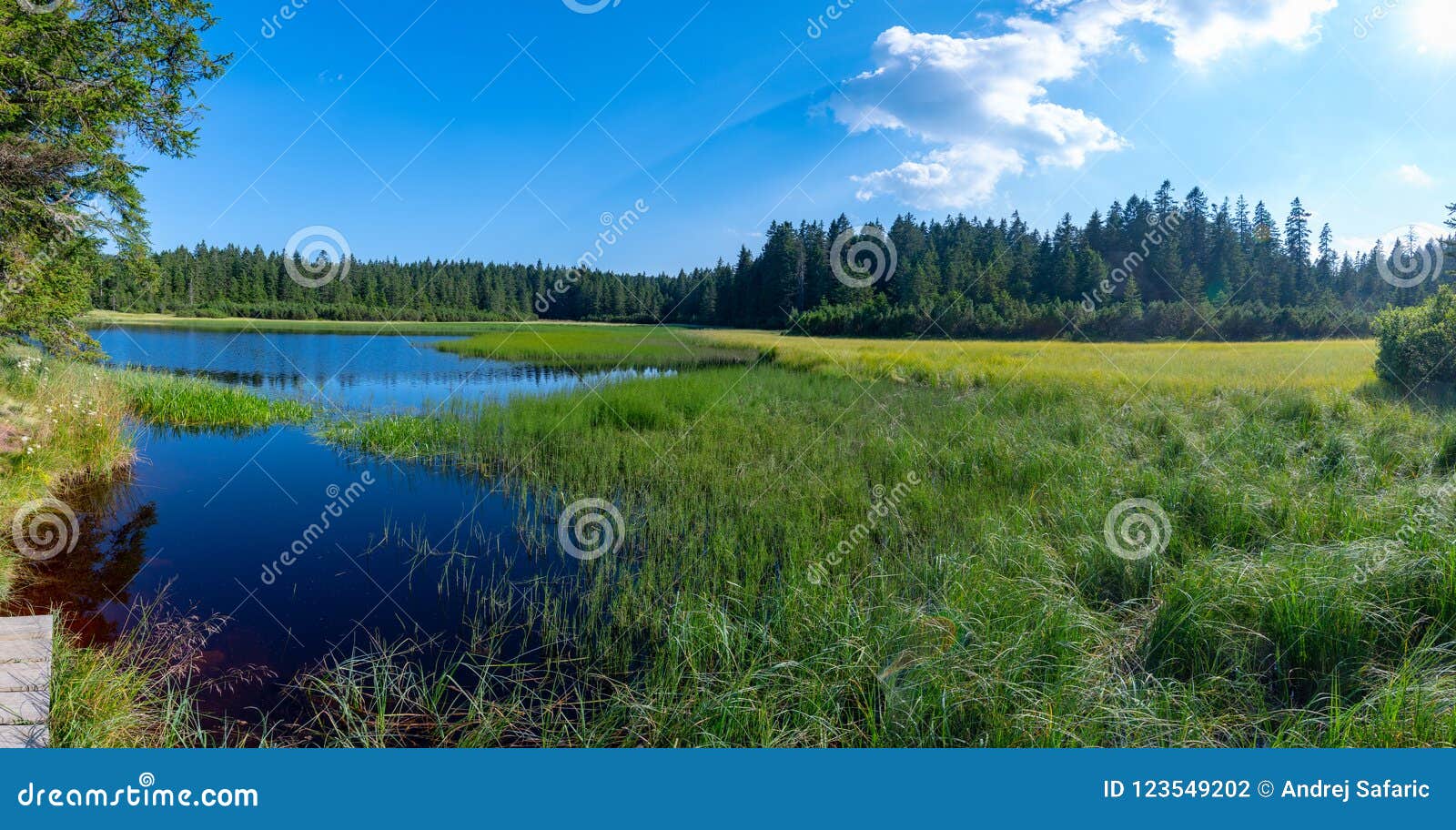 Crnojezero of Zwart meer, een populaire wandelingsbestemming op Pohorje, Slovenië. Het meer bovenop berg, donker gekleurd water en trillend groen die gras, met bomen, Crno-jezero of Zwart meer wordt omringd is een populaire wandelingsbestemming op Pohorje, Slovenië