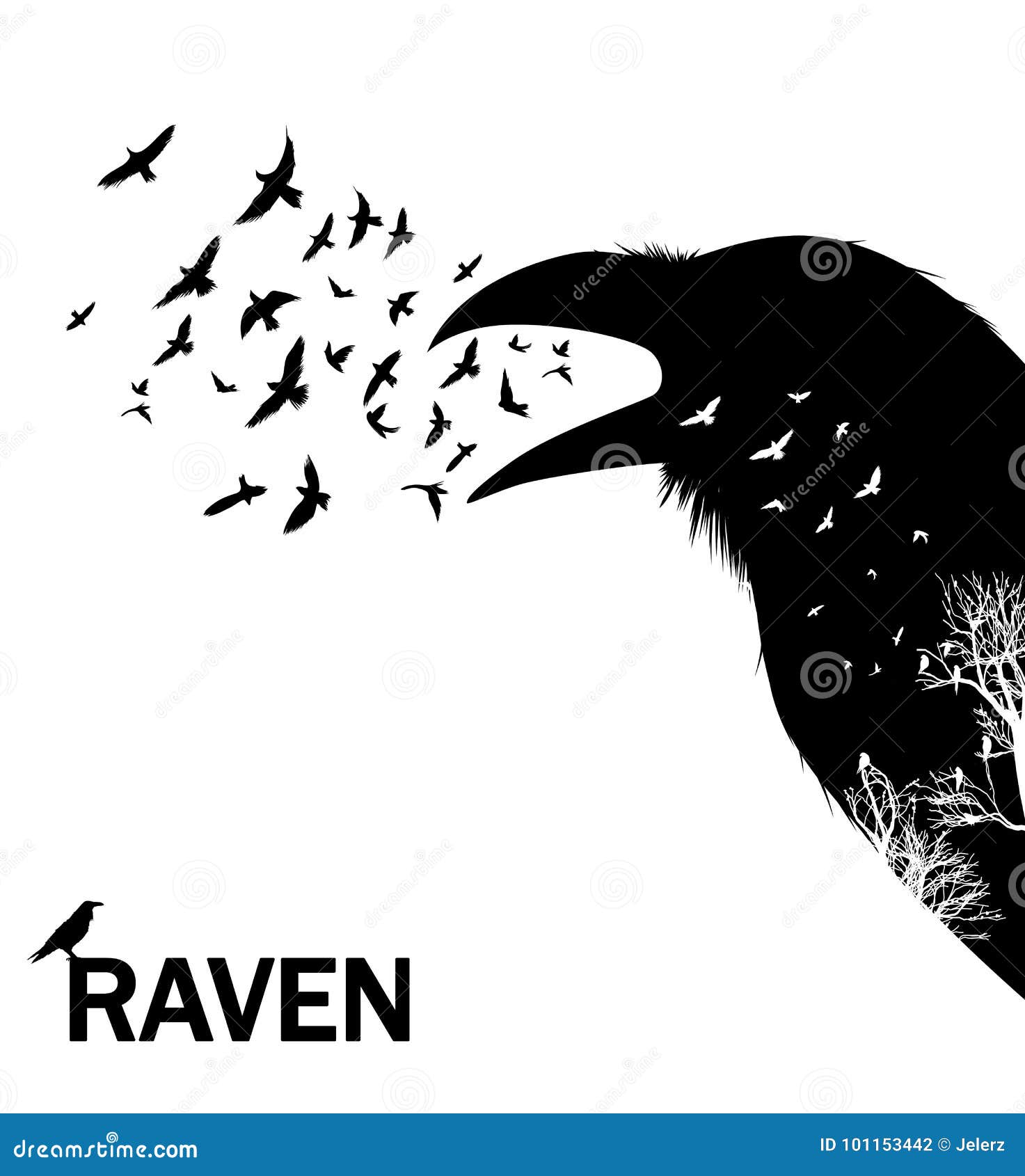 croaking crow or raven.  .