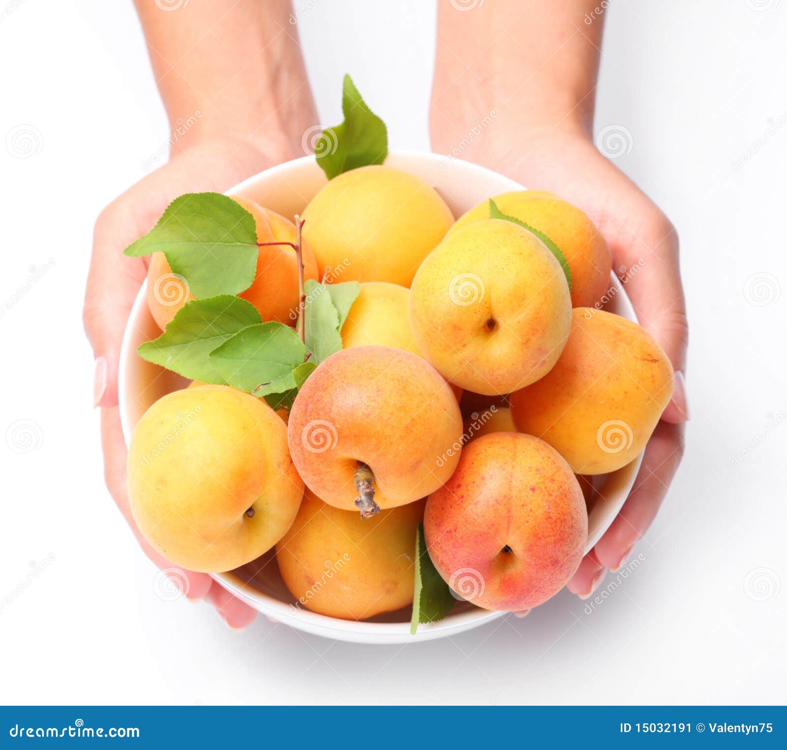 crockery with mellow apricots.