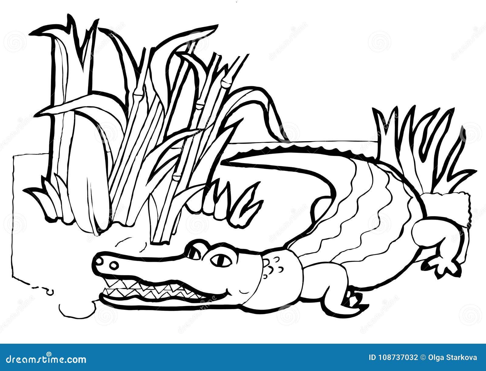 Crocodile, Colouring Book,black And White Version Stock Vector ...