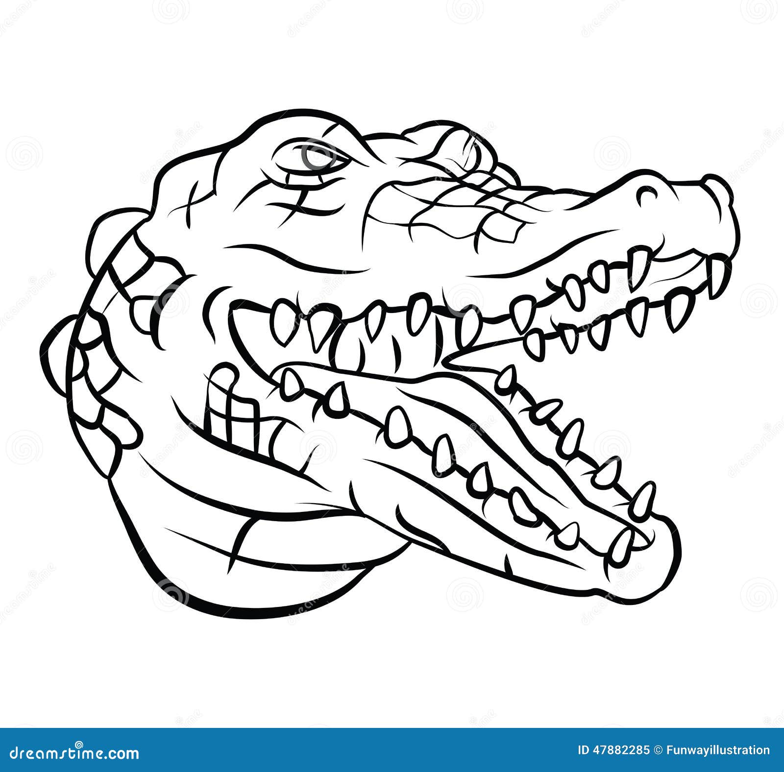 Crocodile stock vector Illustration of predator nature