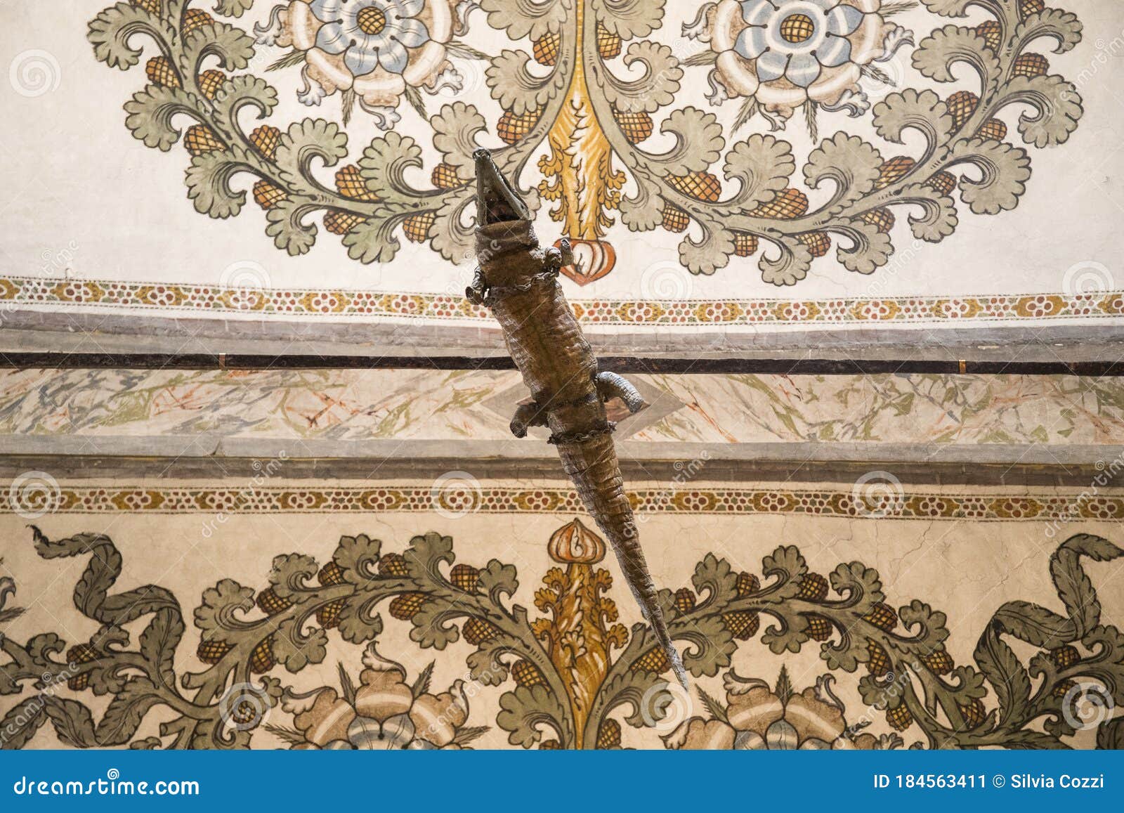 The Crocodile Hanging from the Ceiling in the Sanctuary of Santa Maria Delle Grazie, Curtatone, Italy Editorial Photo - Image of animal, interesting: 184563411 The Crocodile Hanging from the Ceiling in the Sanctuary of Santa Maria Delle Grazie, Curtatone, Italy Editorial Photo - Image of animal, interesting: 184563411