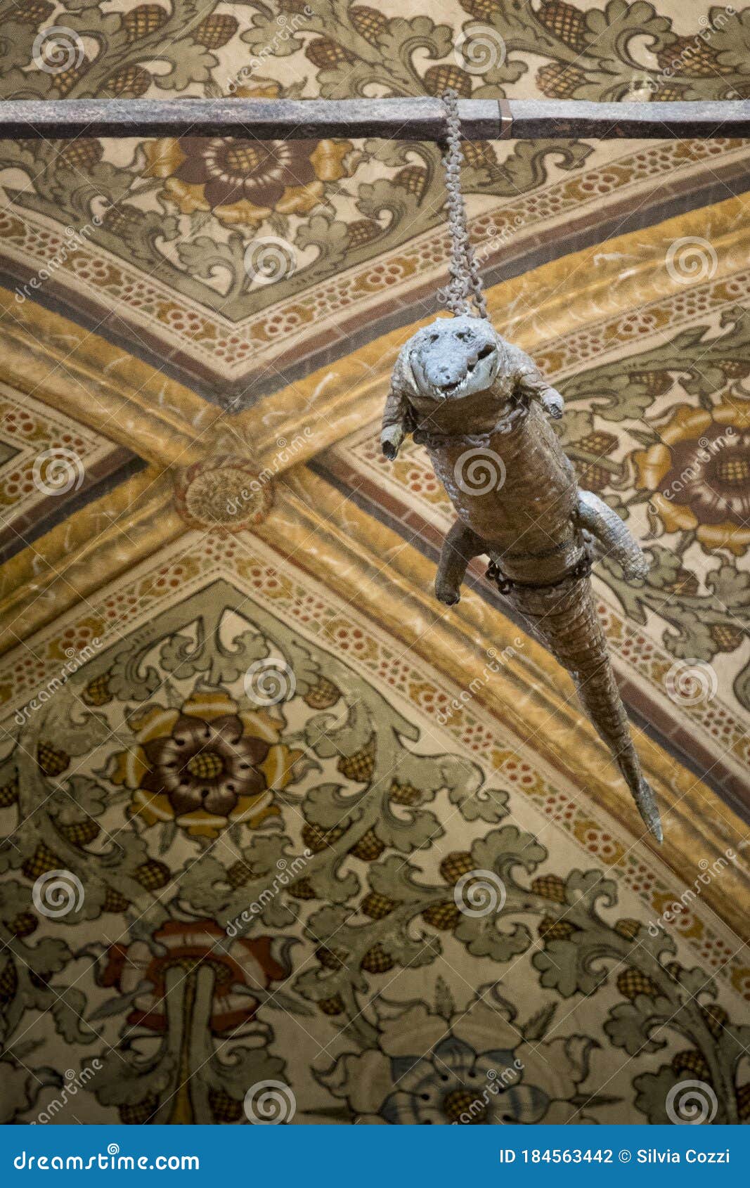 The Crocodile Hanging from the Ceiling in the Sanctuary of Santa Maria  Delle Grazie, Curtatone, Italy Editorial Photography - Image of crocodile,  medieval: 184563442