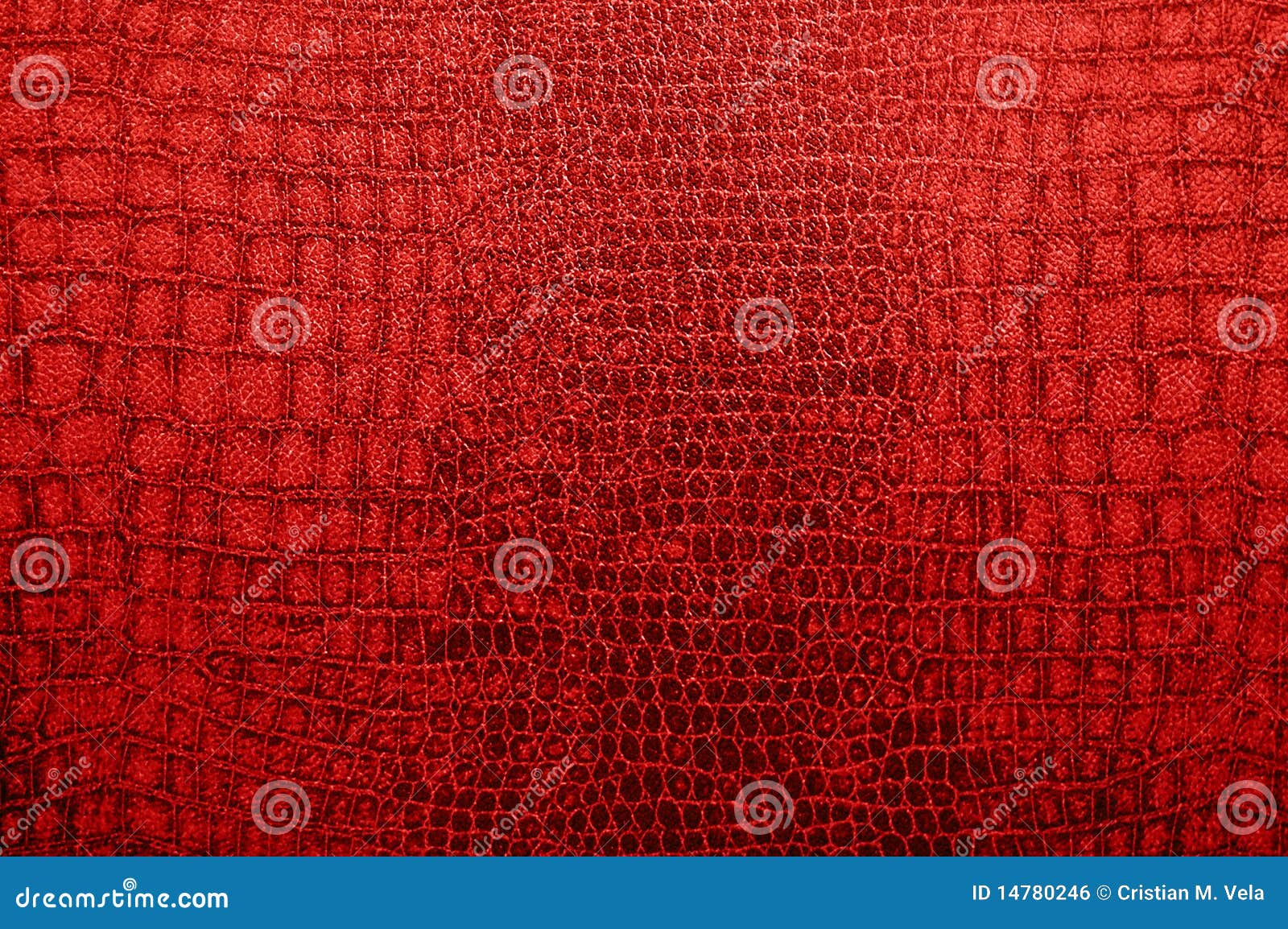 342 Dark Red Crocodile Leather Texture Stock Photos - Free & Royalty-Free  Stock Photos from Dreamstime