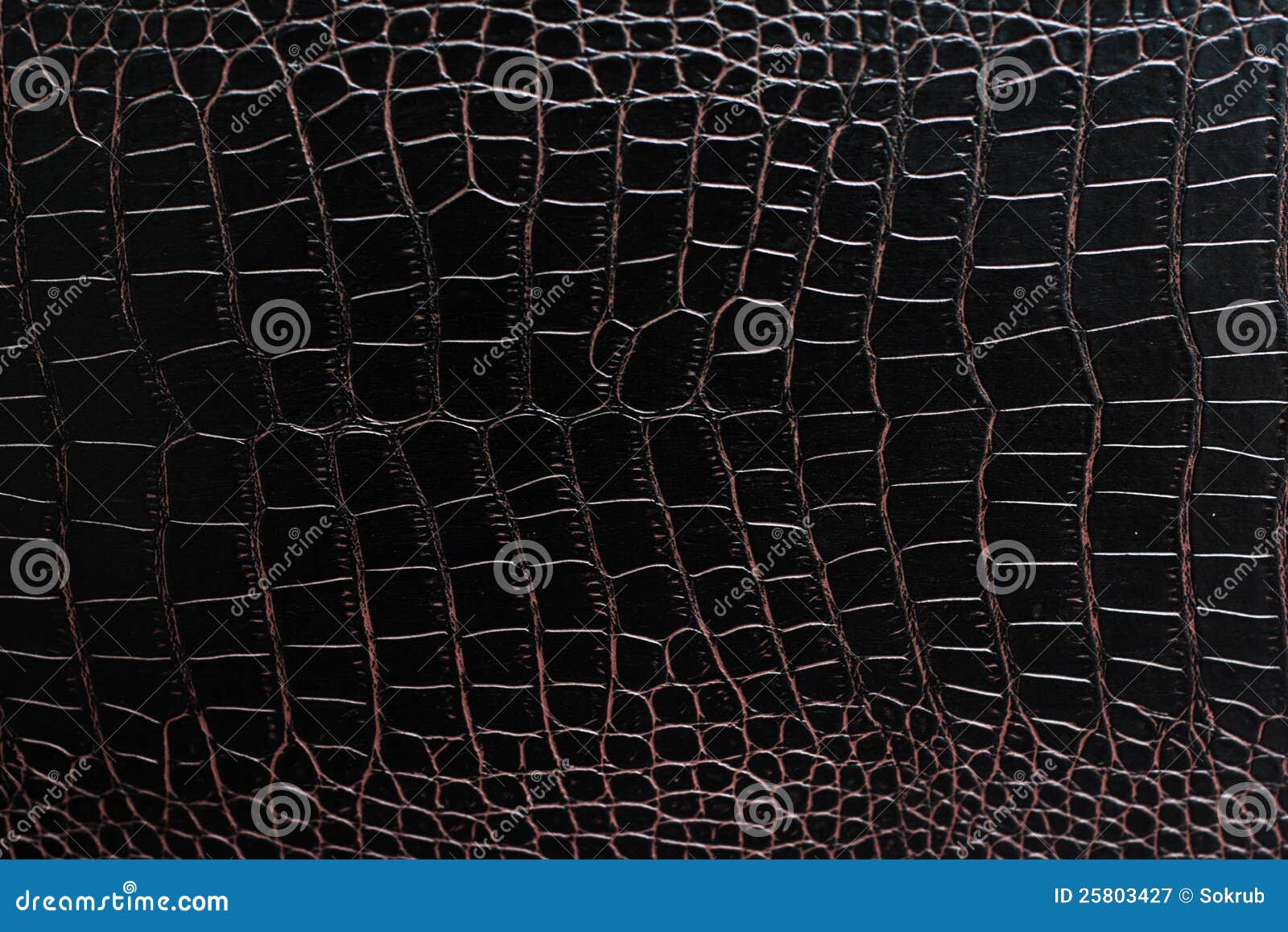 Fake Crocodile Leather Stock Photo, Picture and Royalty Free Image. Image  20332663.