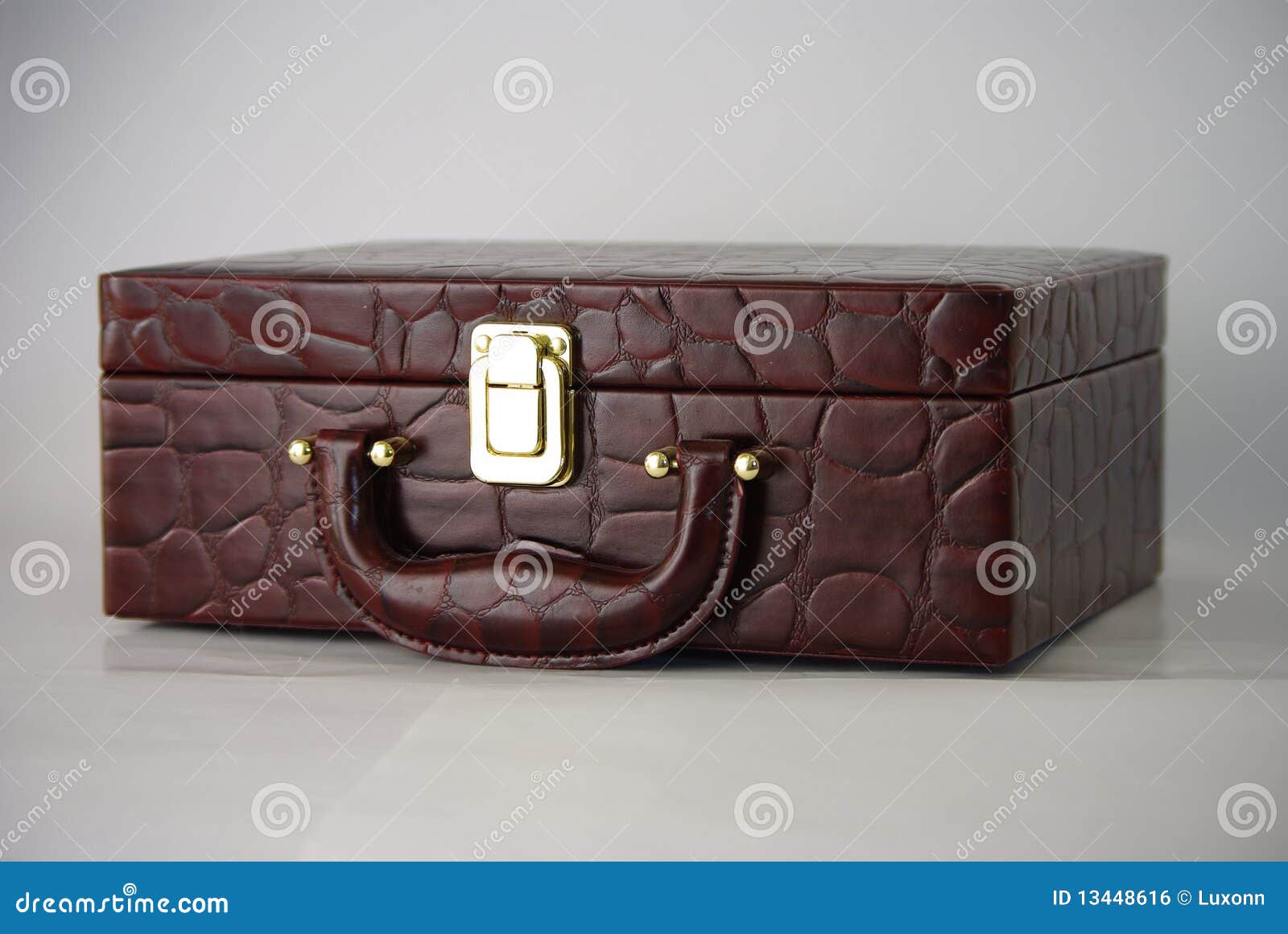 Crocodile Leather Suitcase Skin Bag Stock Photo - Image of shiny, golden:  13448616