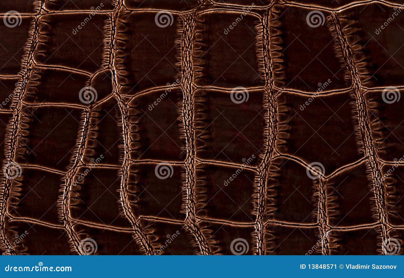 Fake Crocodile Leather Stock Photo, Picture and Royalty Free Image. Image  20332663.