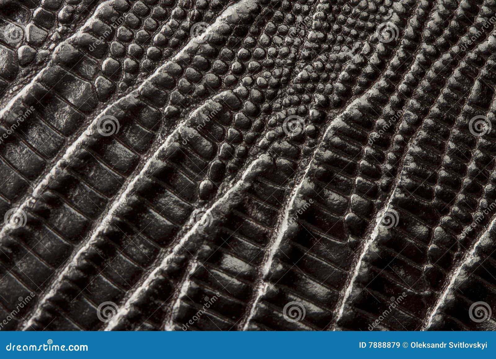 Close Up Crocodile Leather Texture Background In Green Stock Photo, Picture  and Royalty Free Image. Image 37907878.
