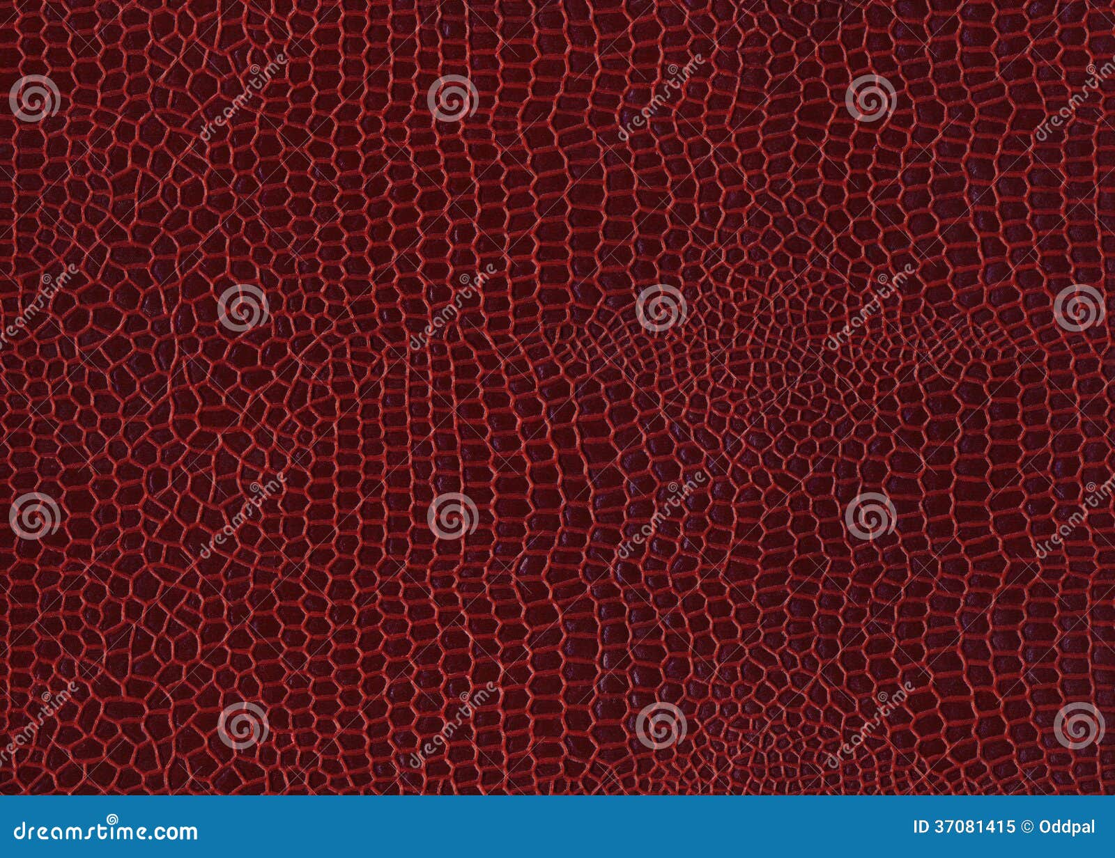 65,015 Animal Skin Texture Stock Photos - Free & Royalty-Free Stock Photos from Dreamstime 65,015 Animal Skin Texture Stock Photos - Free & Royalty-Free Stock Photos from Dreamstime