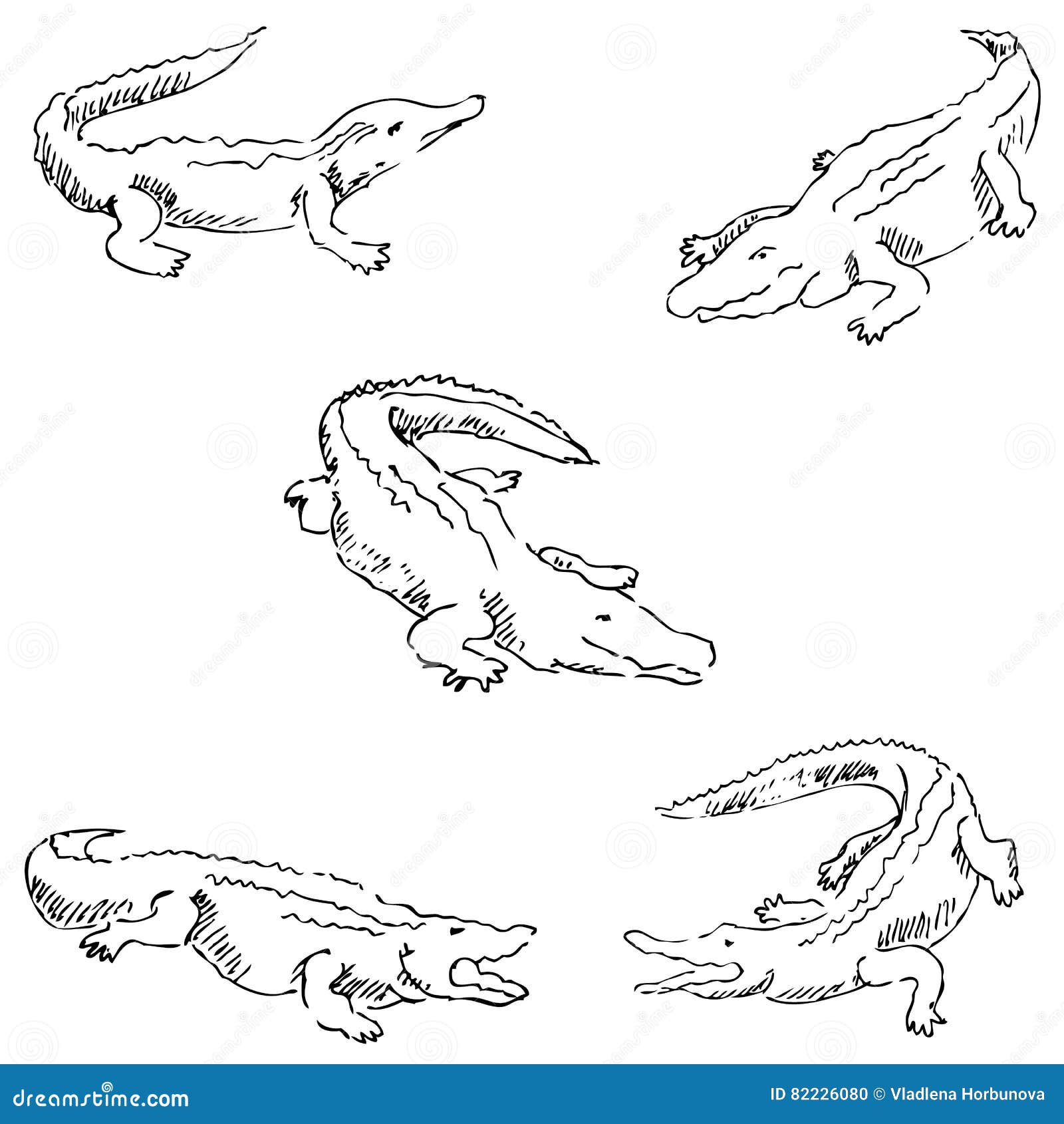 How to Draw a Crocodile with Pen and Ink