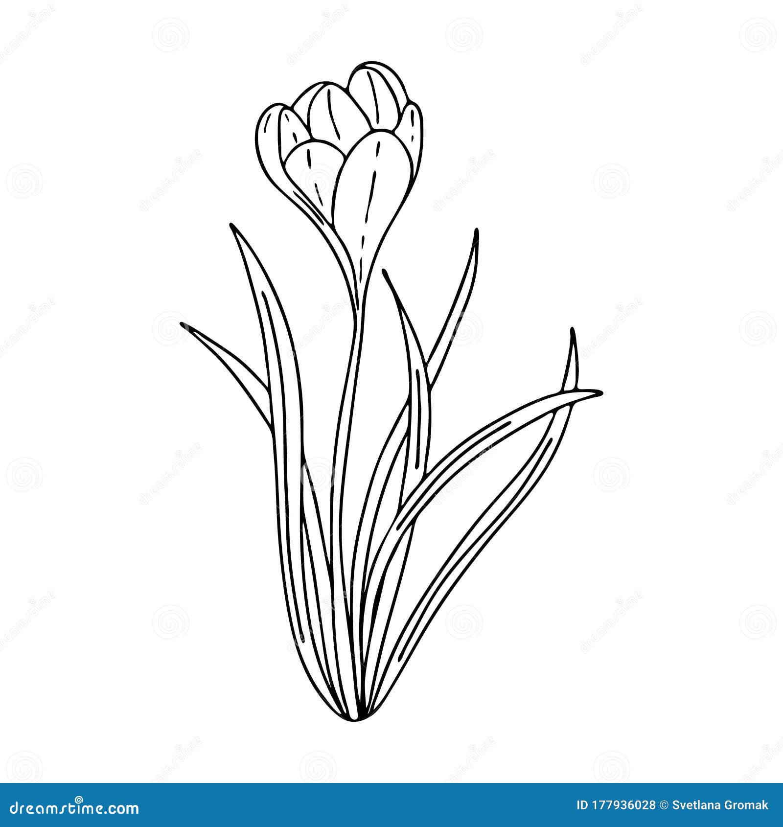 clipart spring flowers black and white drawings
