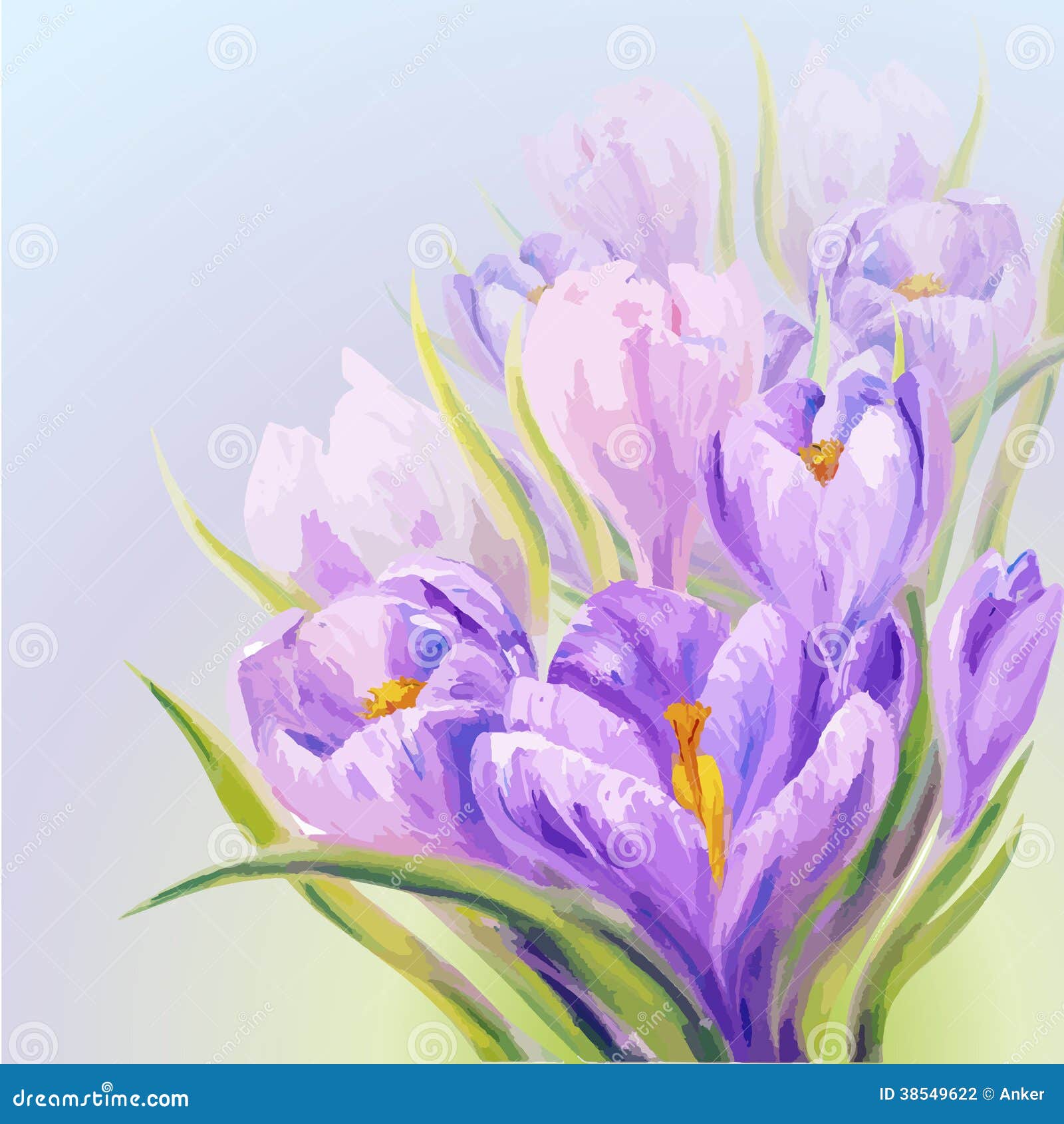 Crocuses. Spring Flowers Invitation Template Card Stock Vector Illustration of green, colorful