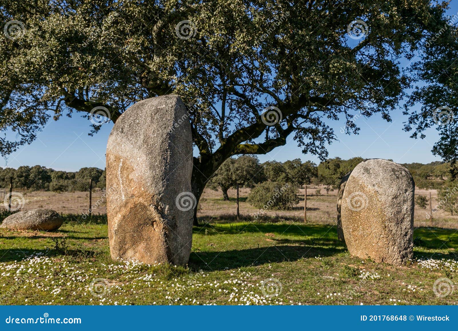 cromleque de vale maria do meio megalithic landmark in evora, portugal