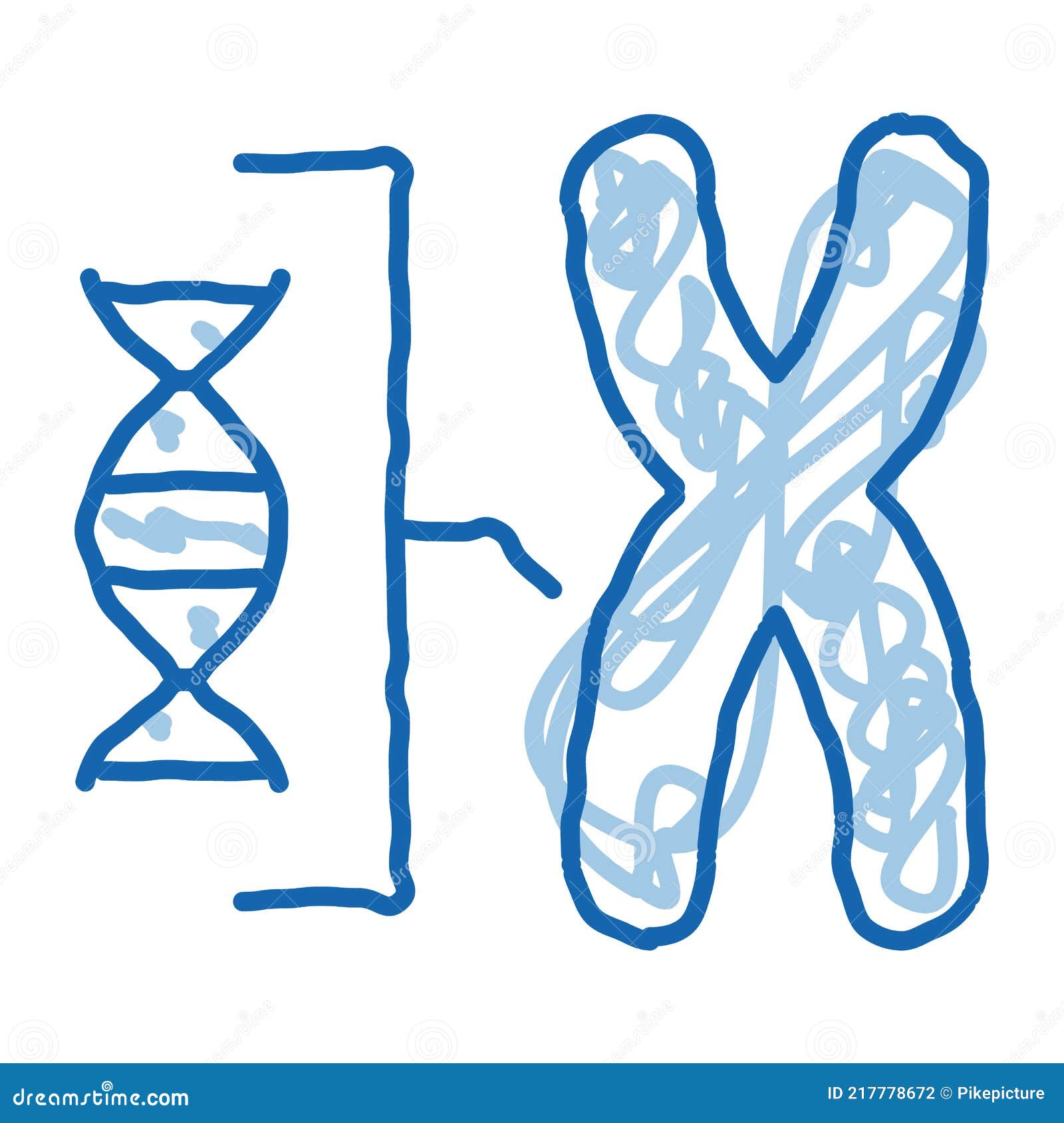 Cromosoma Y Molécula Doodle Icono Dibujado A Mano Ilustración