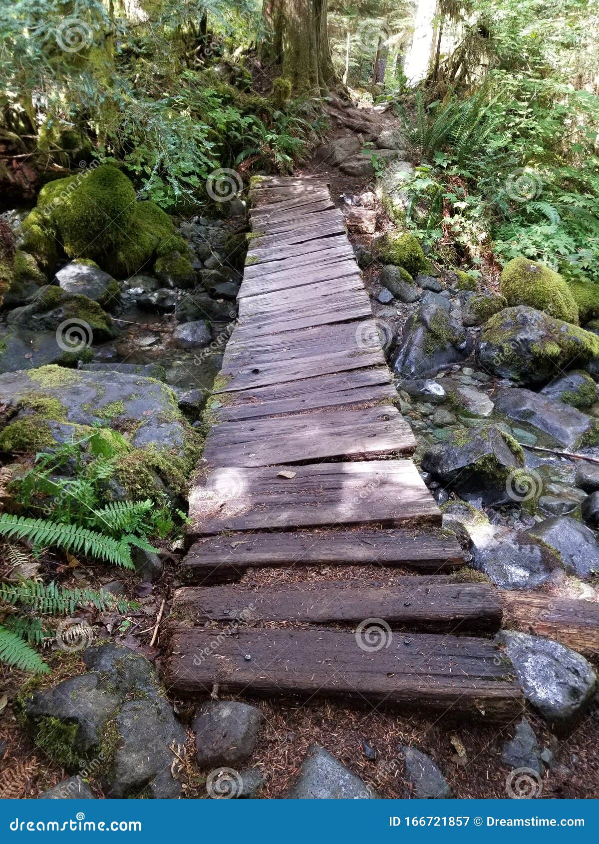 Crooked bridge stock image. Image of hiking, water, crooked 166721857