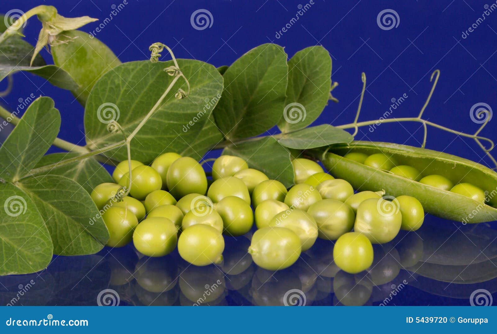 Crop stock photo. Image of glass, small, legume, close 5439720