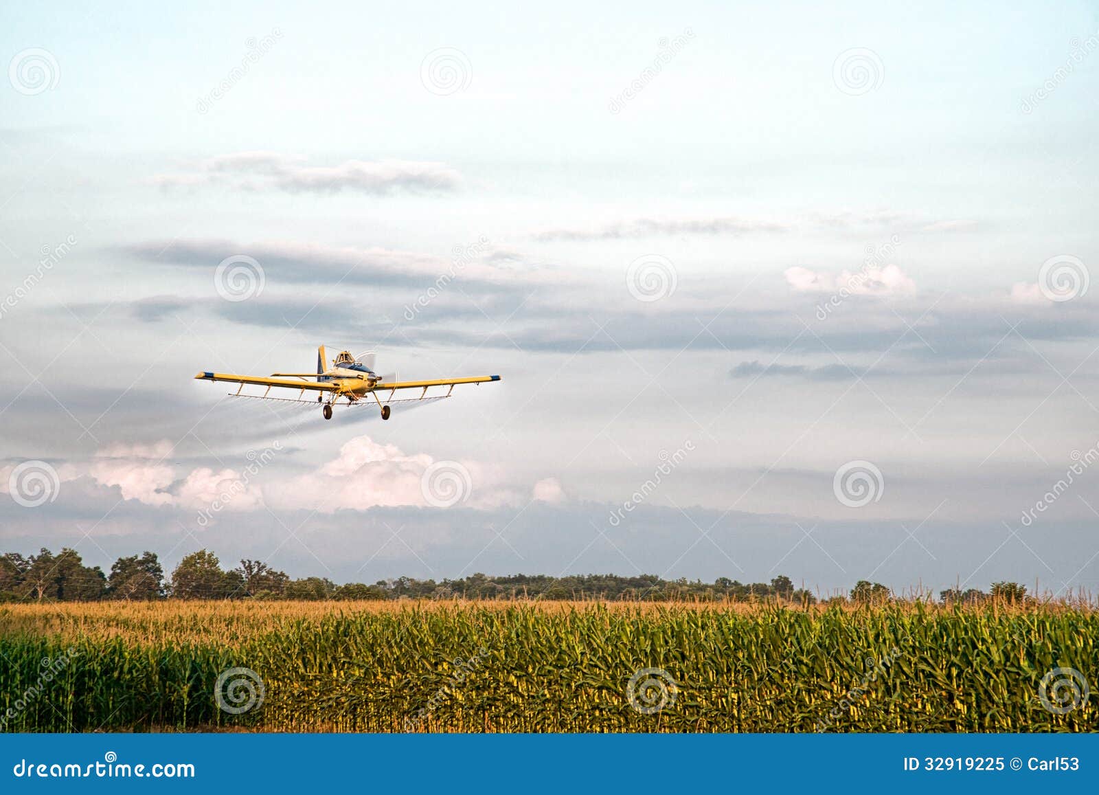 crop duster spraying corn field