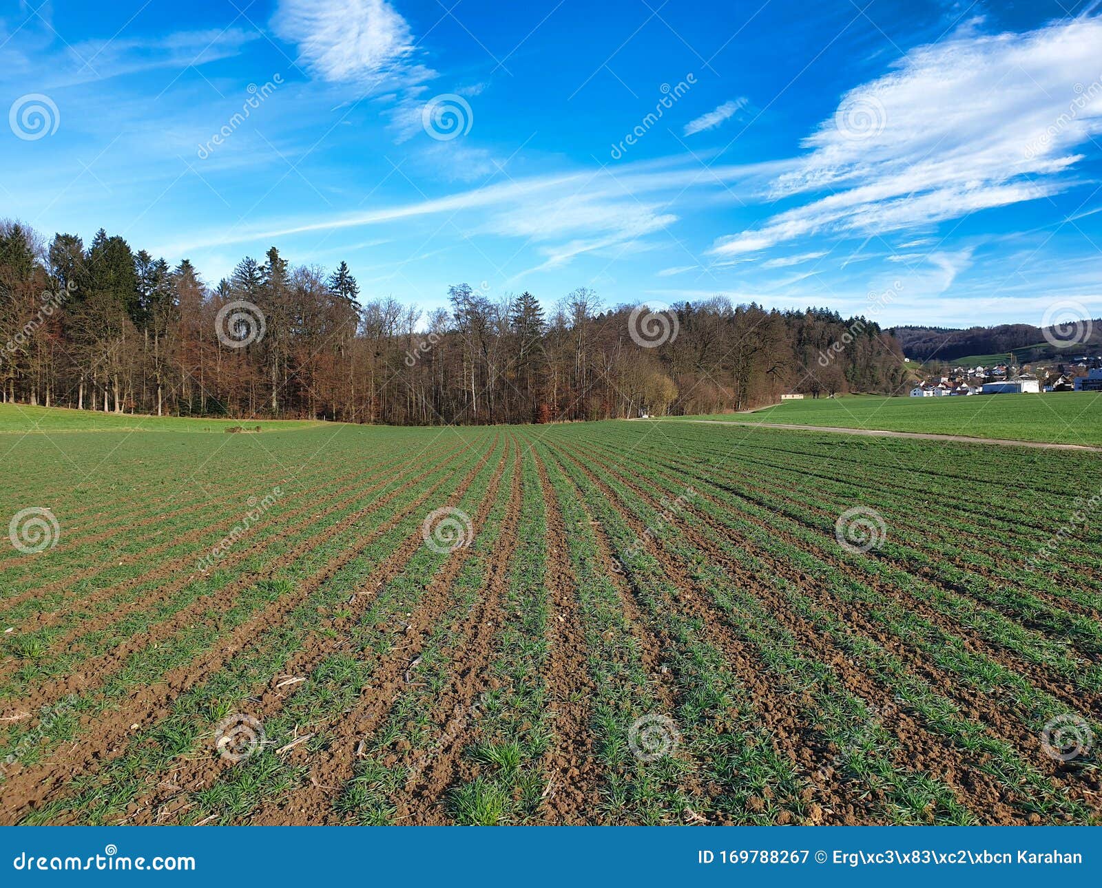 crop rotation of an agricultural field.