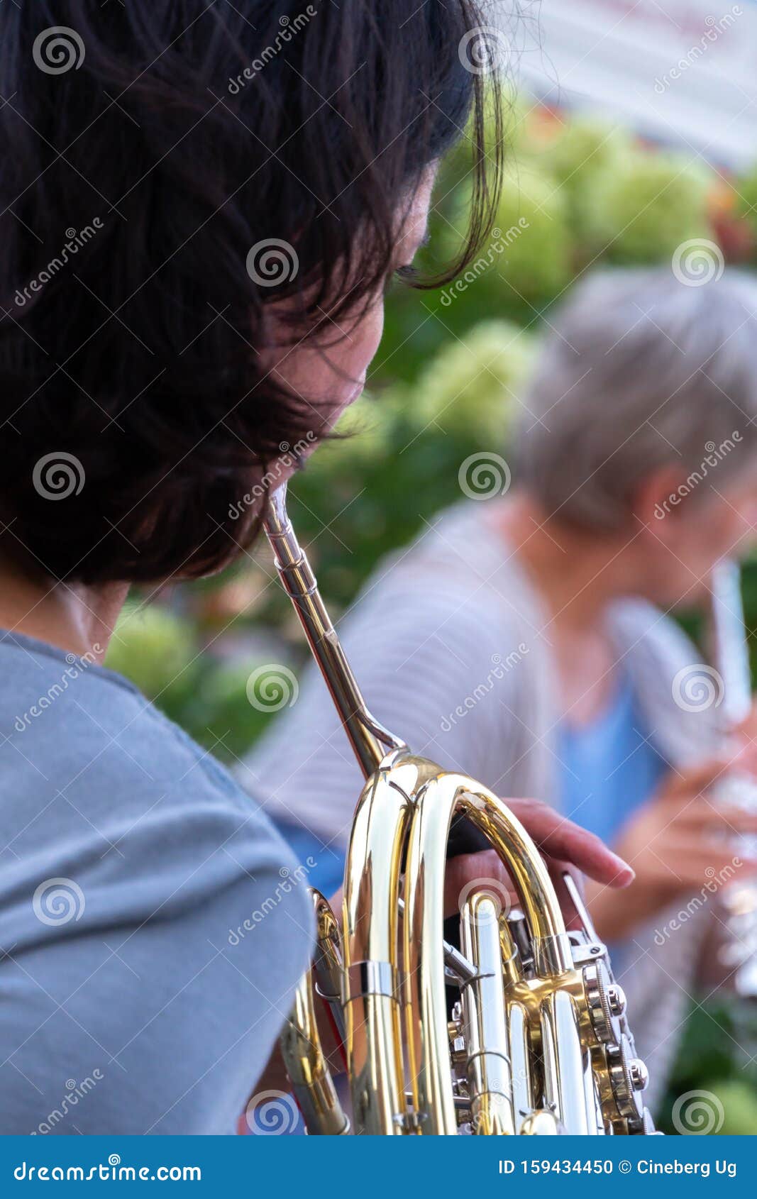 art of french horn playing latest art of french horn playing latest