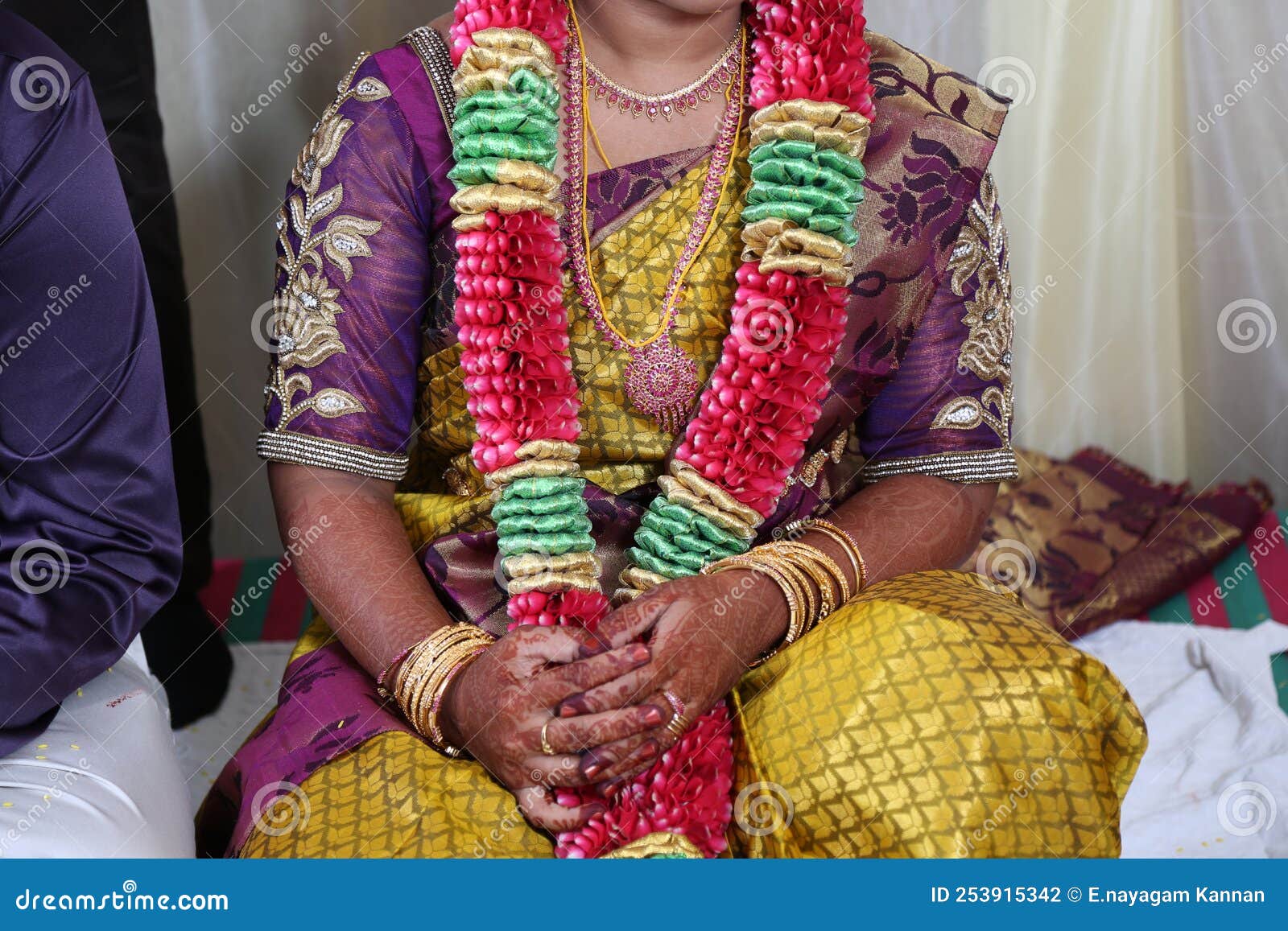 cropped image bride sitting pose garland cropped image bride dressed silk saree blousewith garland 253915342