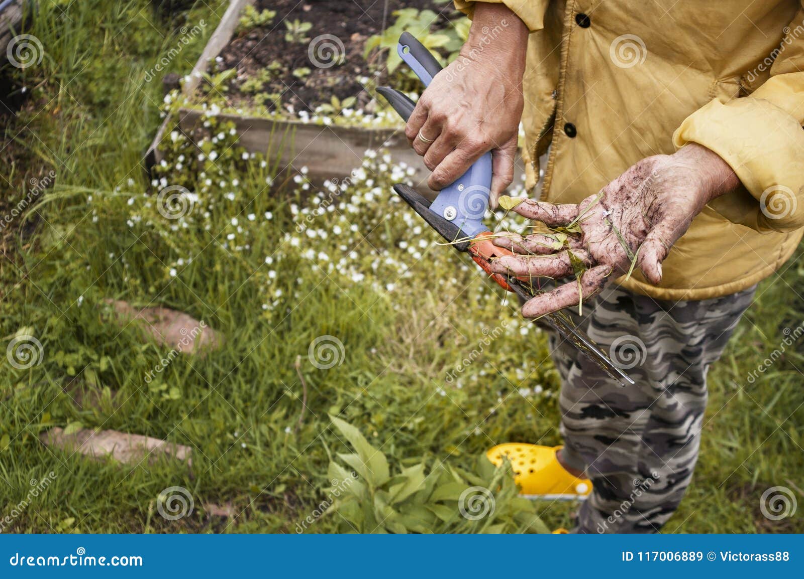 Gardening with Dirty Hands stock image. Image of tools - 117006889