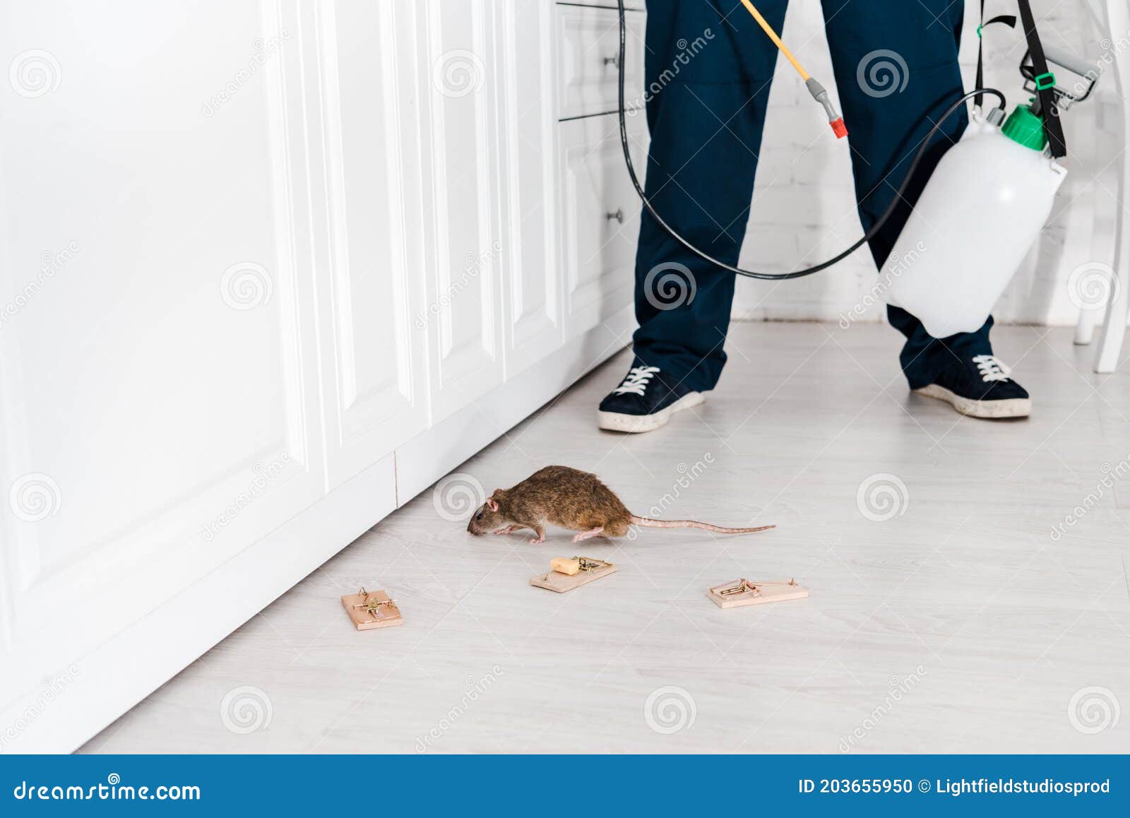 cropped view of exterminator standing near mousetraps