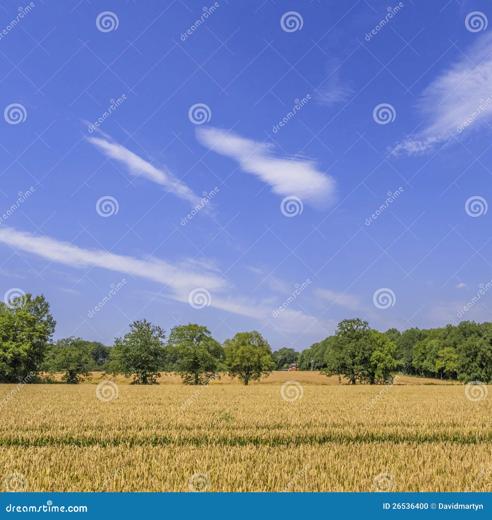 Crops stock photo. Image of real, warwickshire, property 26536400