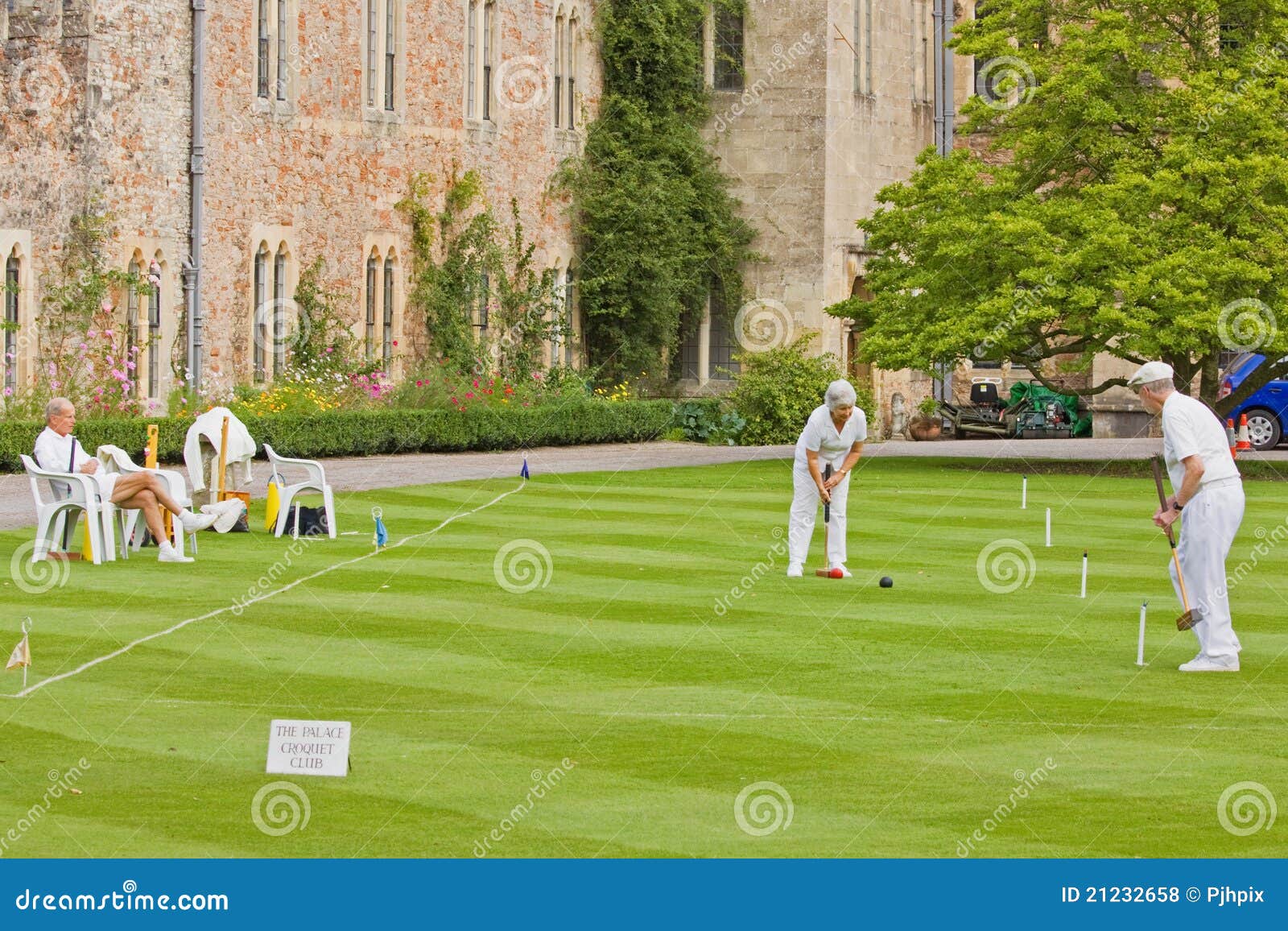 Croquet on the Lawn editorial stock photo. Image of stroke 21232658