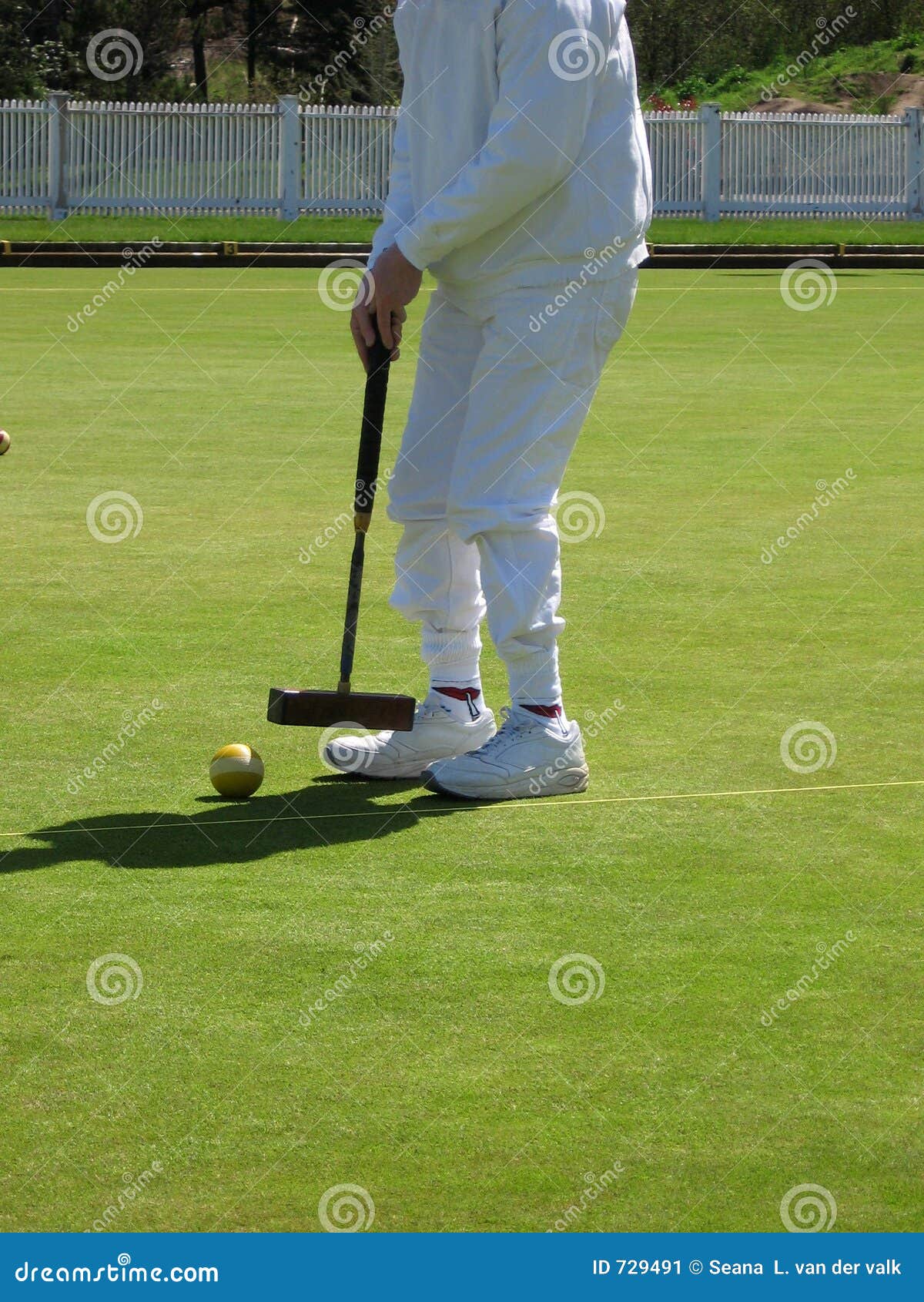 Croquet no jogo imagem de stock. Imagem de nave, esfera 729491