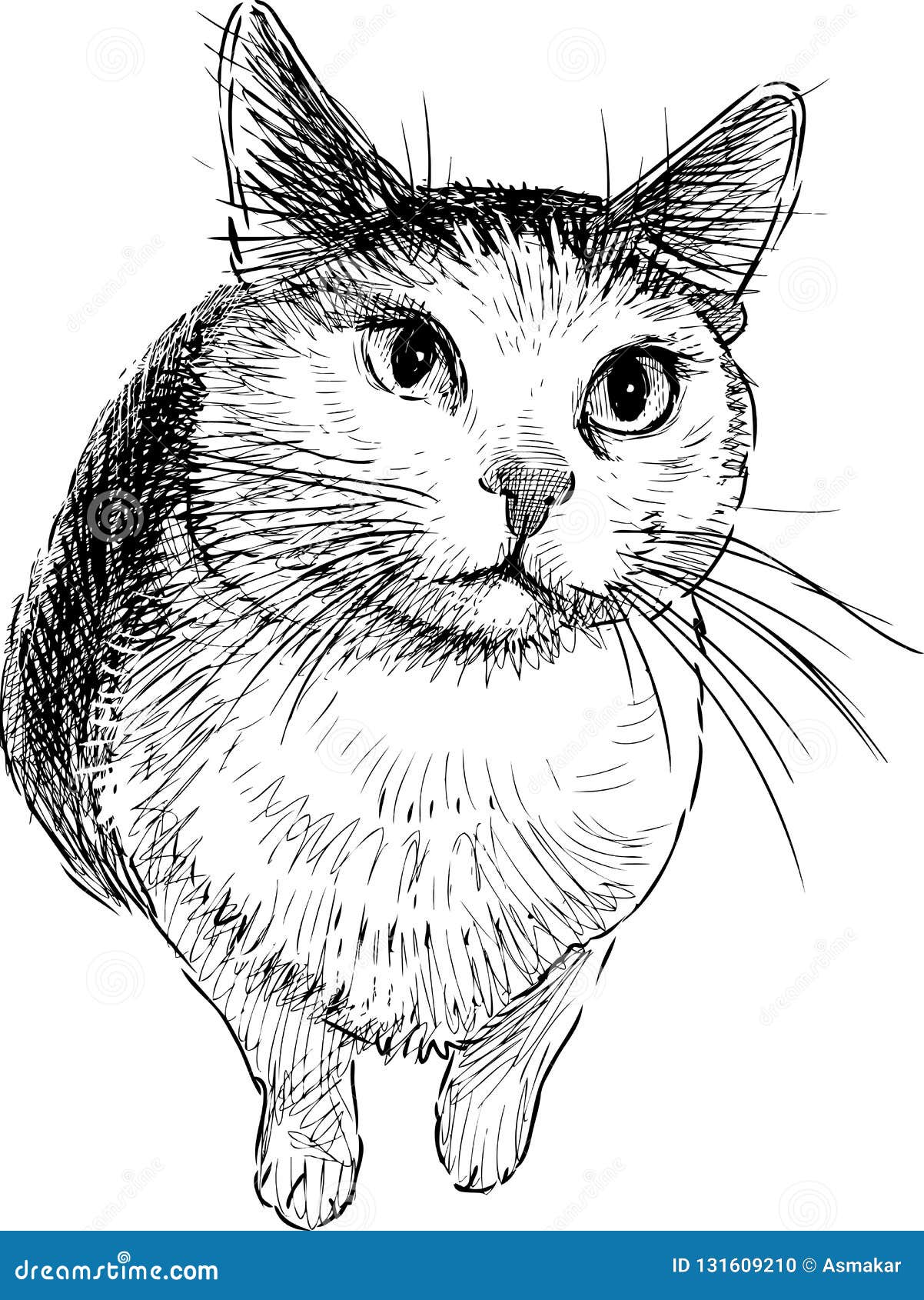 Croquis Dun Chat Domestique Triste Illustration De Vecteur