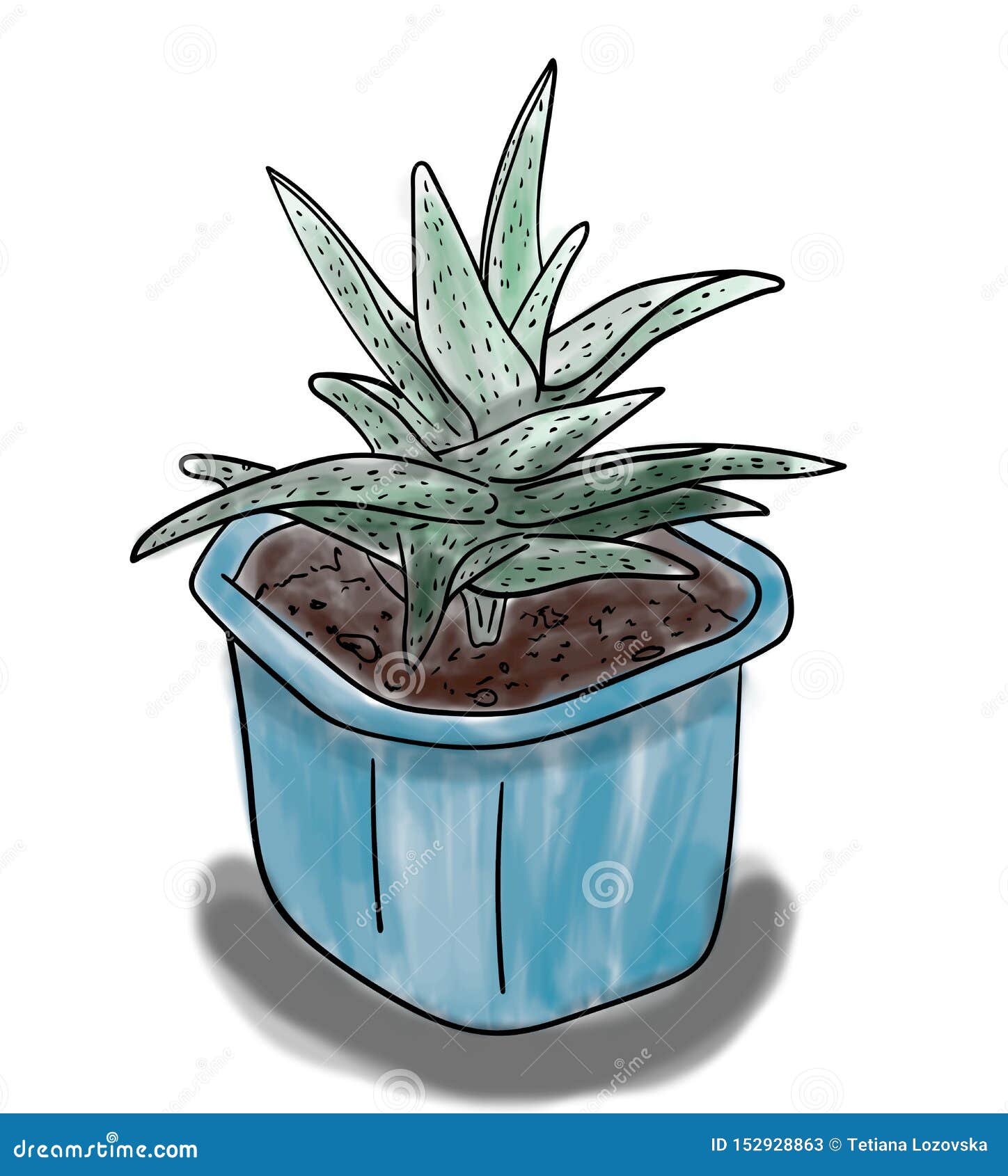 Croquis De Couleur D Usine Verte D Aloes Dans Le Pot Bleu Dessin Peint A La Main D Ensemble Illustration Stock Illustration Du Dessin Usine 152928863