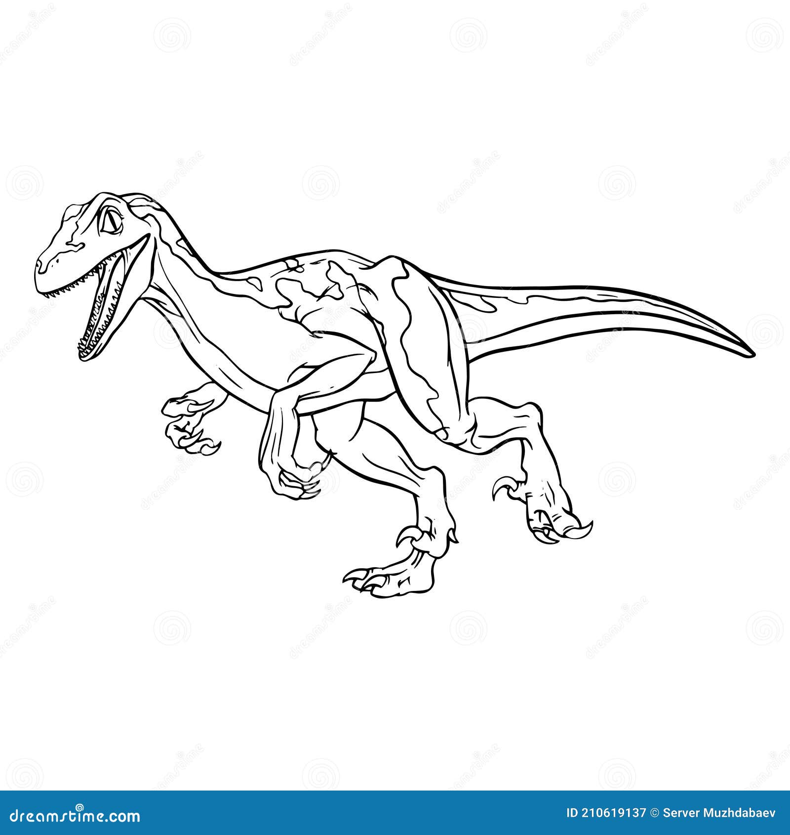 Croquis Lineal De Dibujos Animados De Dinosaurio Velociraptor Para Colorear  Libro Aislado Sobre Fondo Blanco. Clipart Vectorial Ilustración del Vector  - Ilustración de viejo, objeto: 210619137