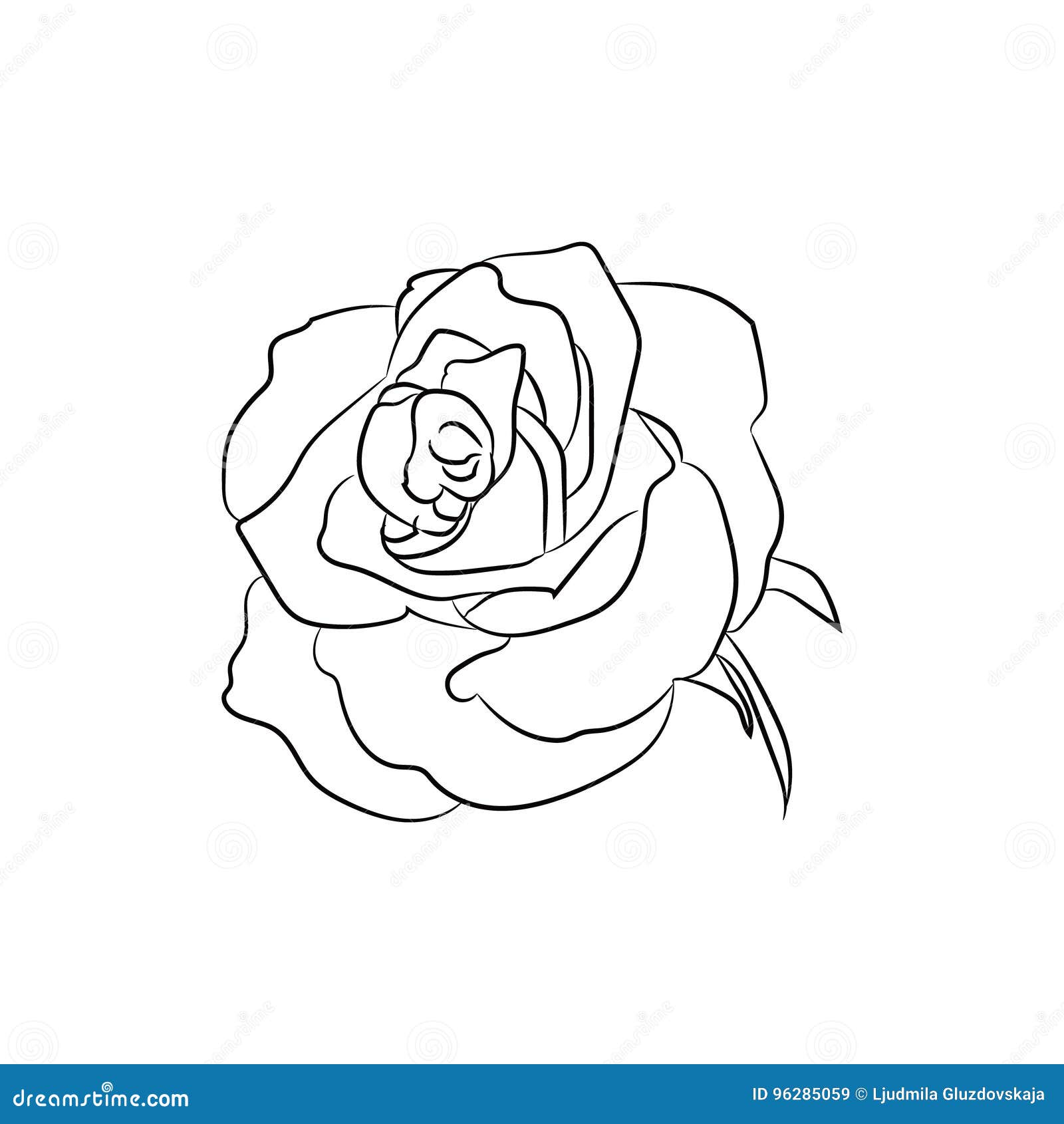 Croquis Noir Et Blanc De Fleur Rose Noir Et Blanc Illustration Stock Illustration Du Objet Fleur 96285059
