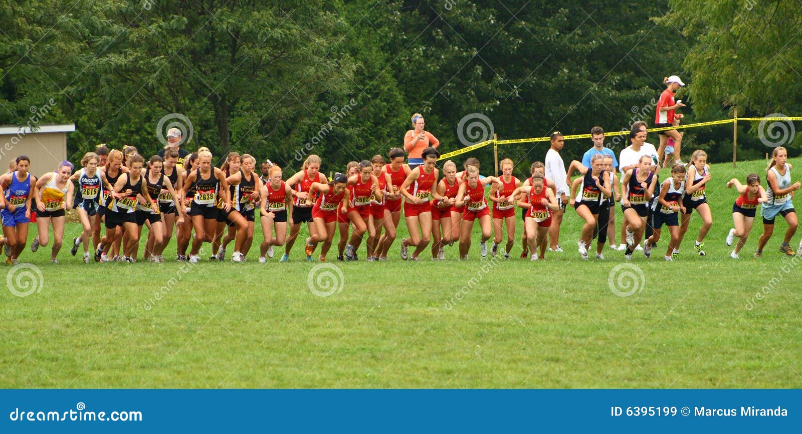 Cross country competition editorial stock image. Image of cross 6395199