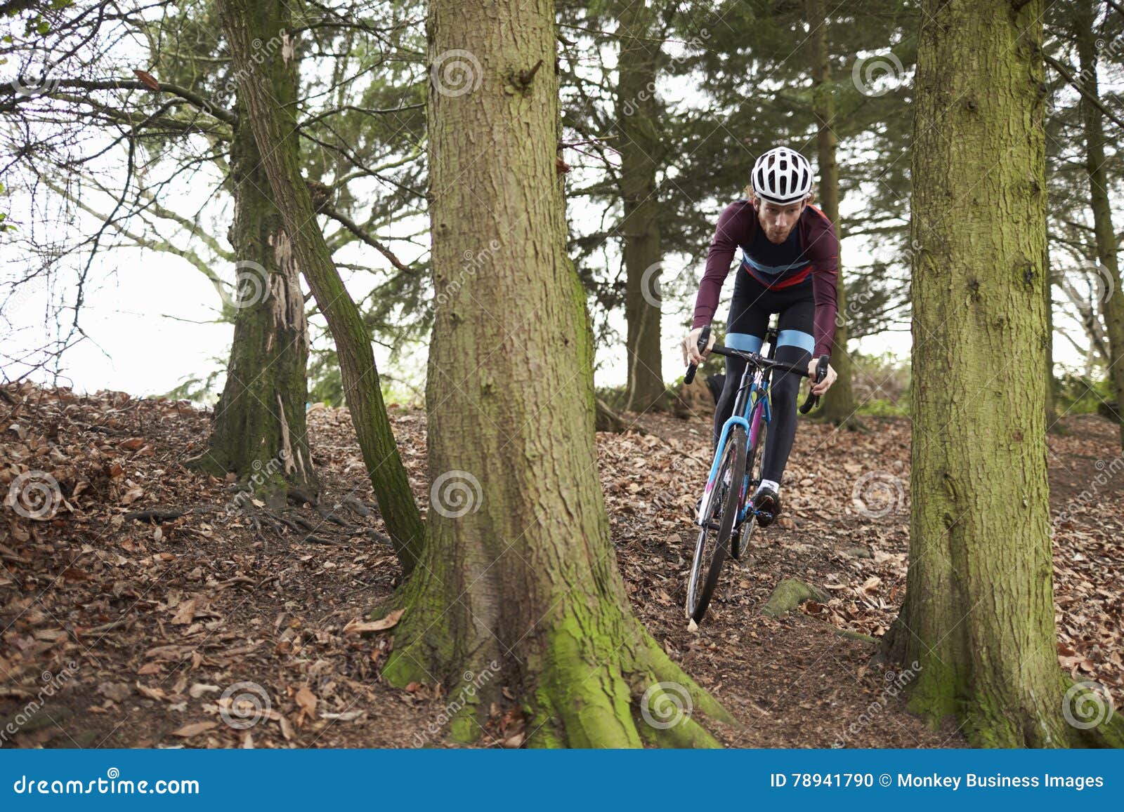 Crosscountry Cyclist Riding between Trees, Front View Stock Photo
